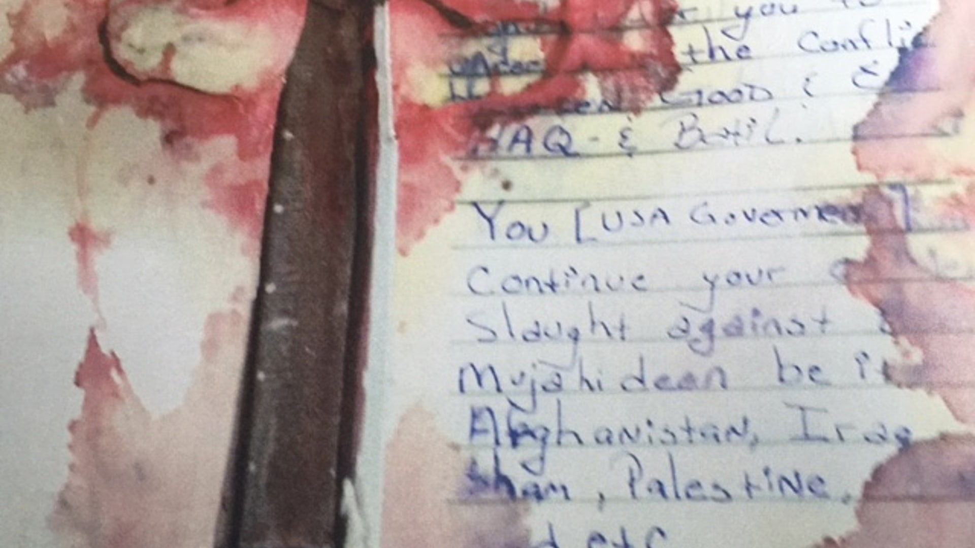 Rant against 'USA Government'