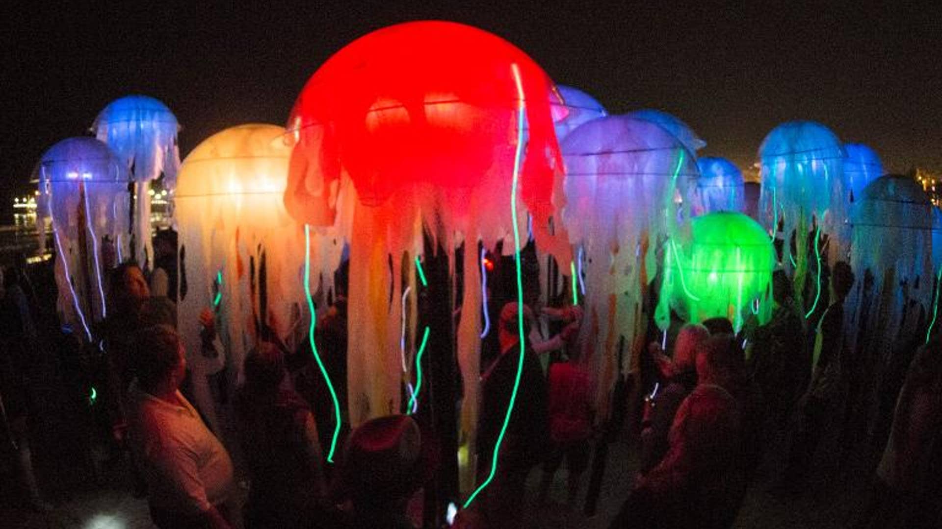 Swarm of jellyfish