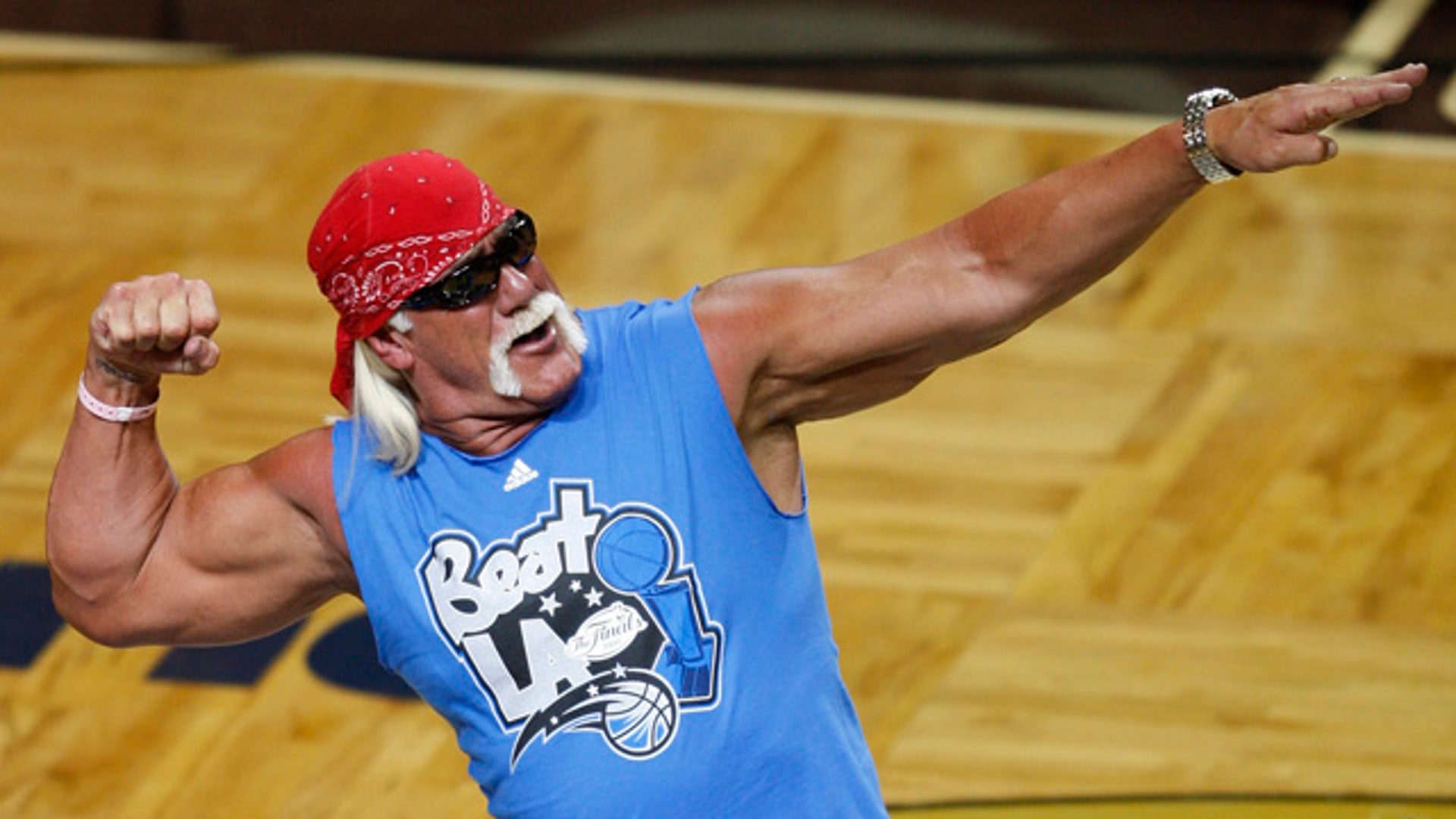 Hulk Hogan