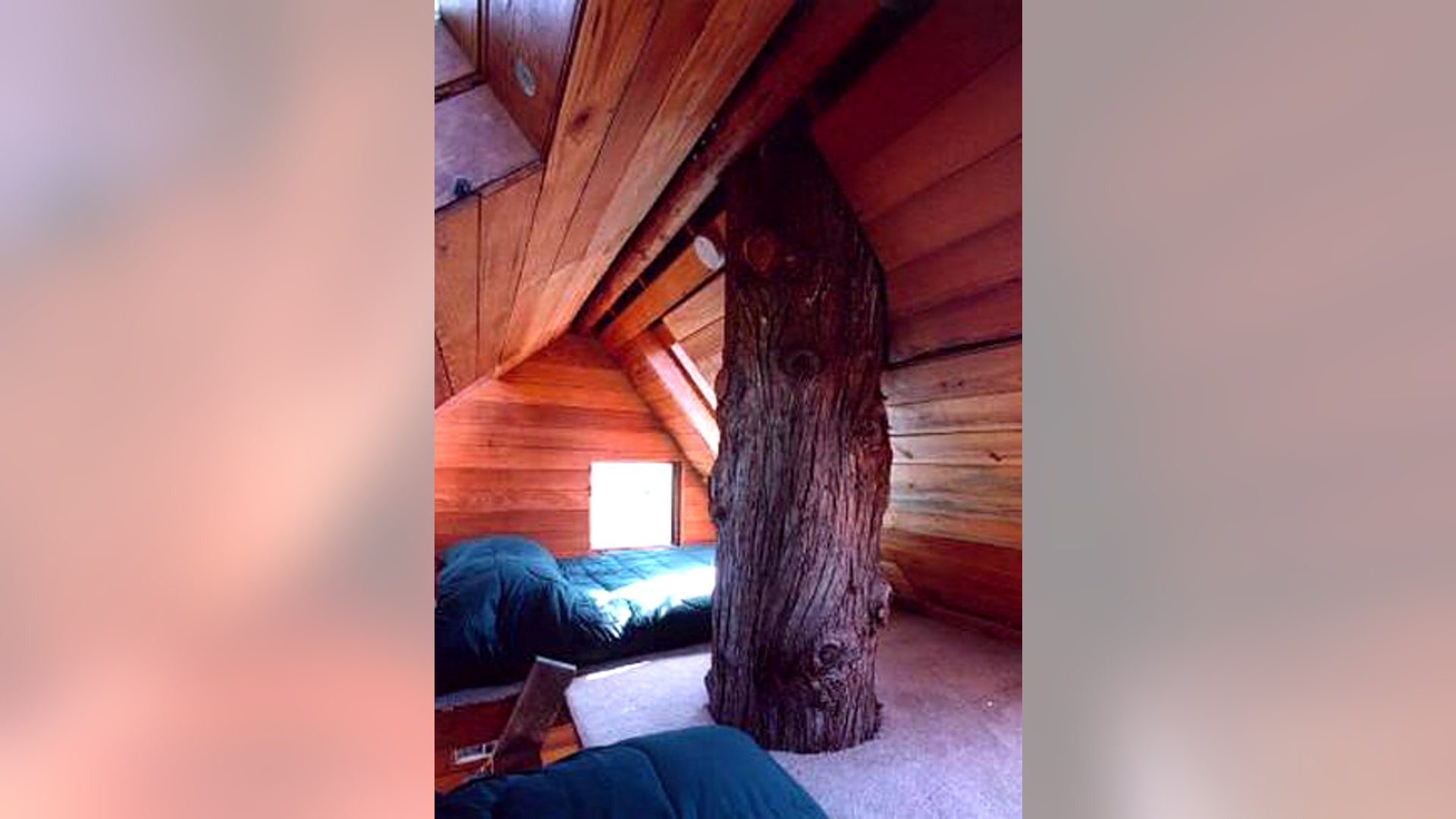 The Cedar Creek Treehouse
