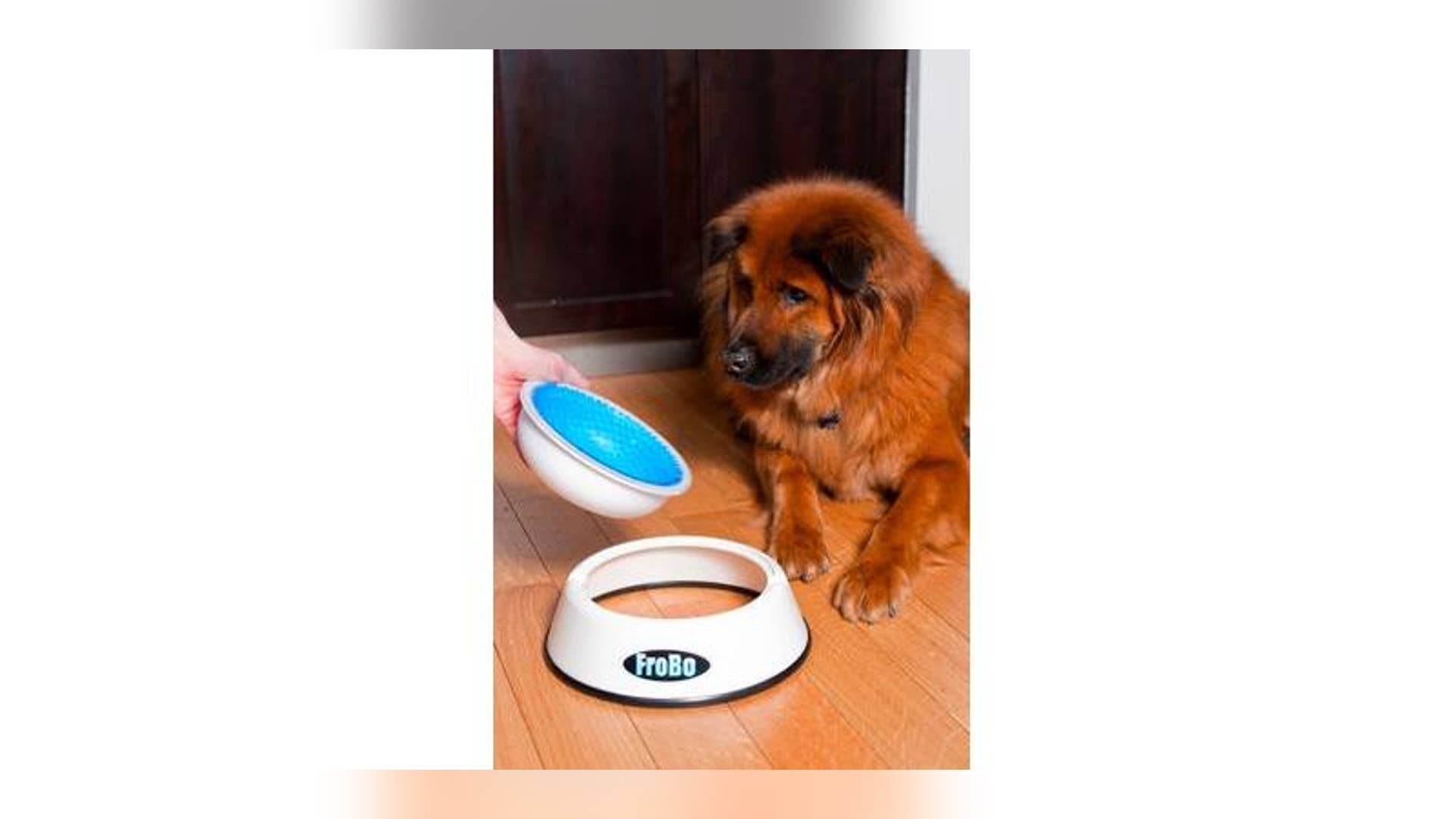 FroBo Bowl & Freezer Core