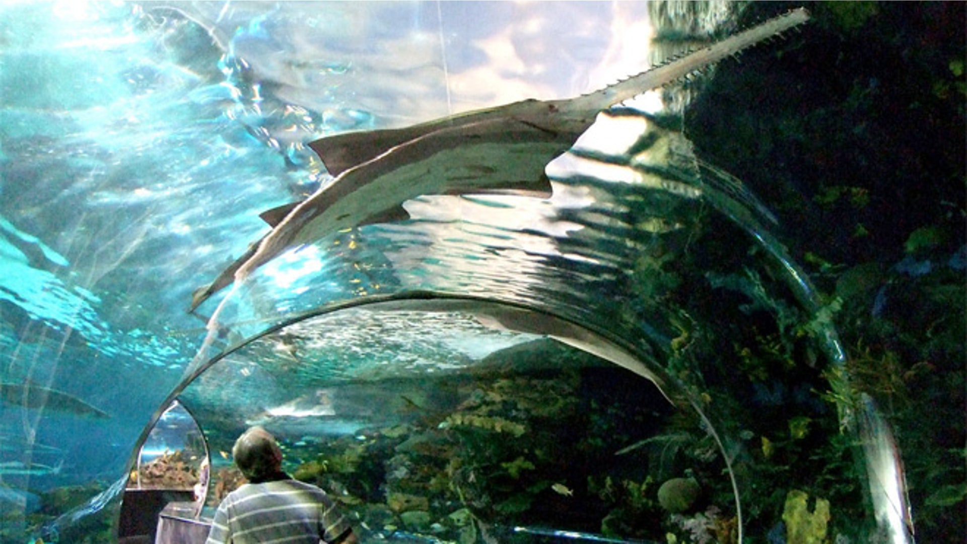 cheap_vac_chatanooga