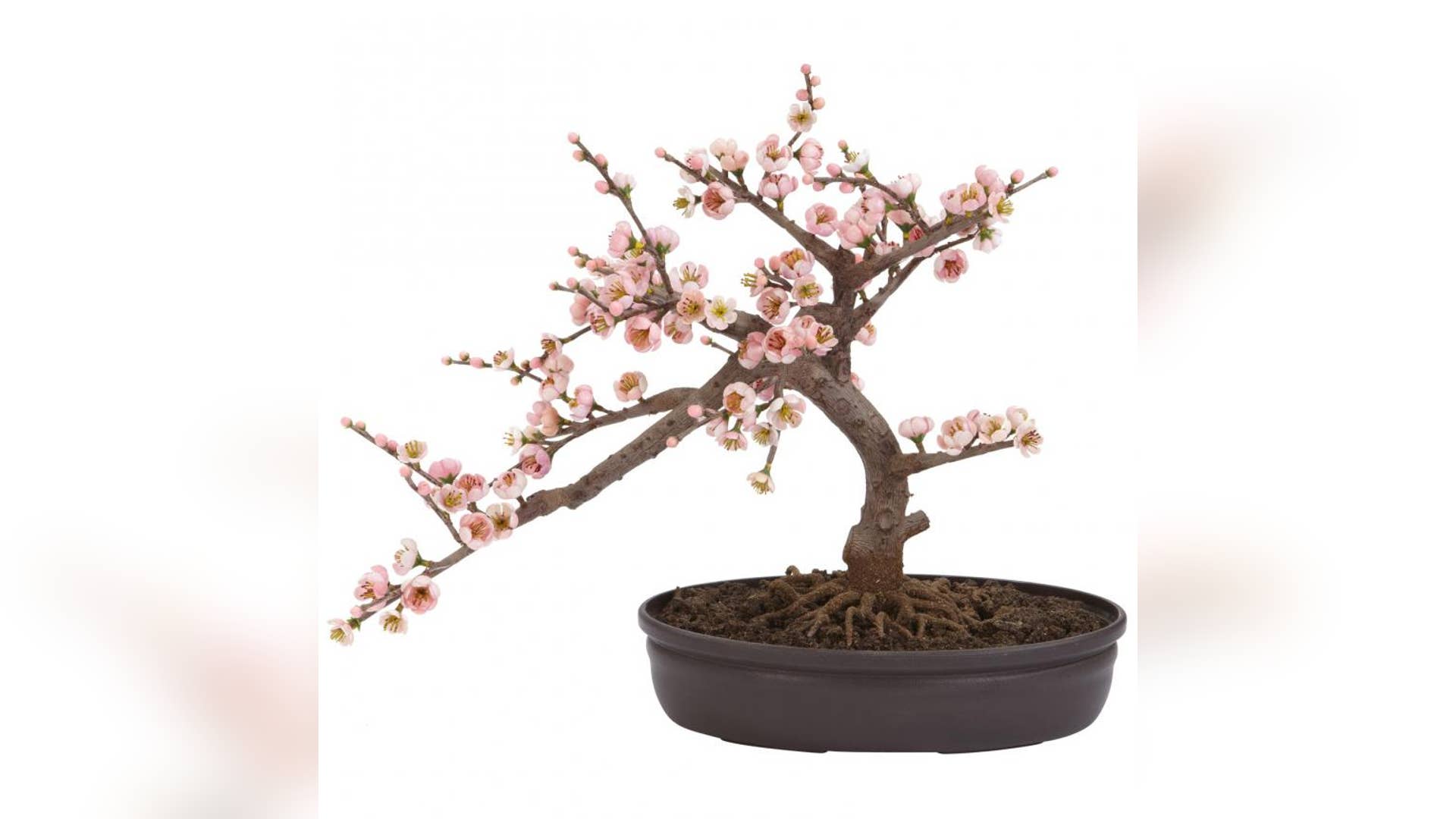 Nearly Natural Cherry Blossom Bonsai Tree