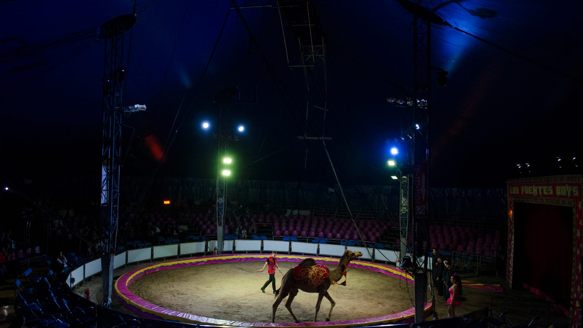 circus_12