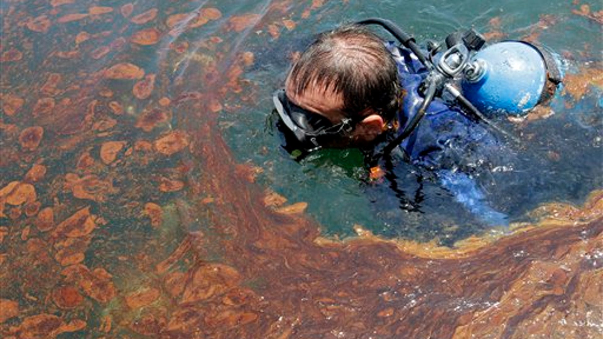 Нефть загрязняет воду. Канадская экологическая катастрофа 1970. Загрязнение мирового океана. Нефтяное загрязнение мирового океана. Нефтяное пятно.
