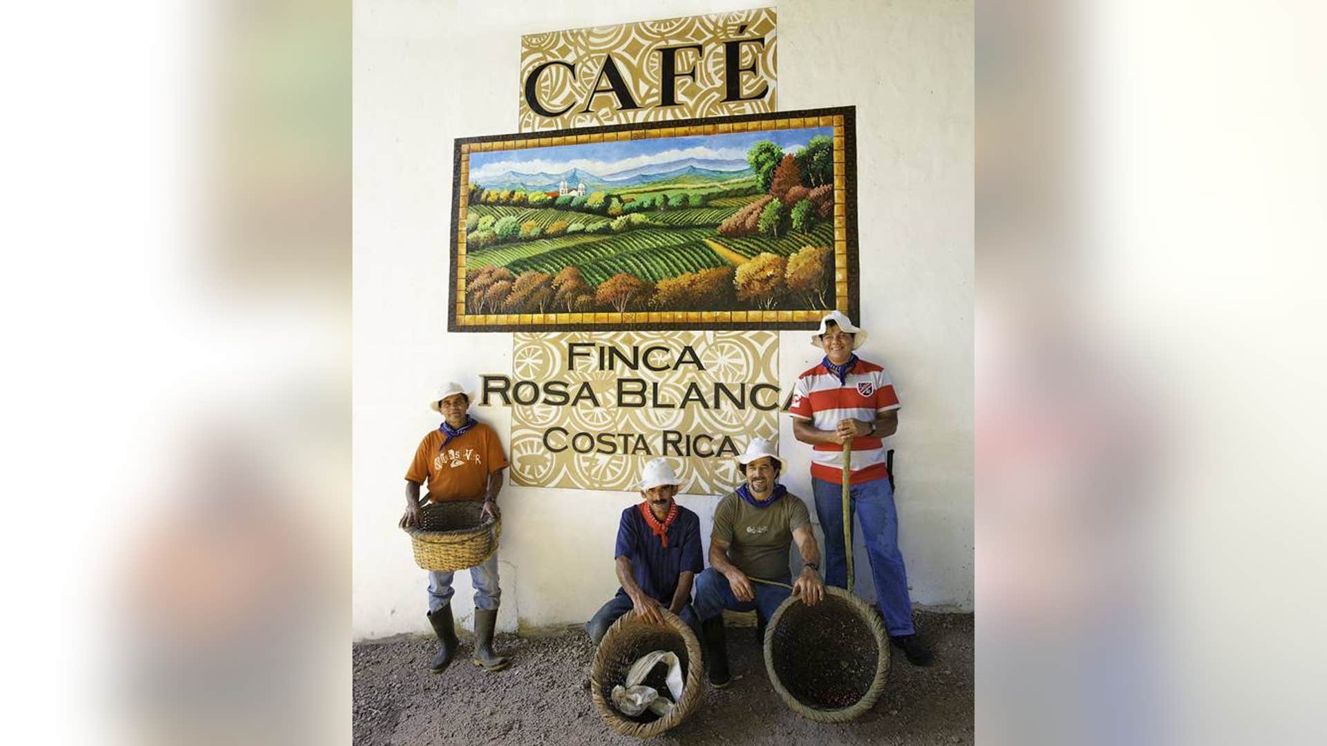 costa_rica_coffee