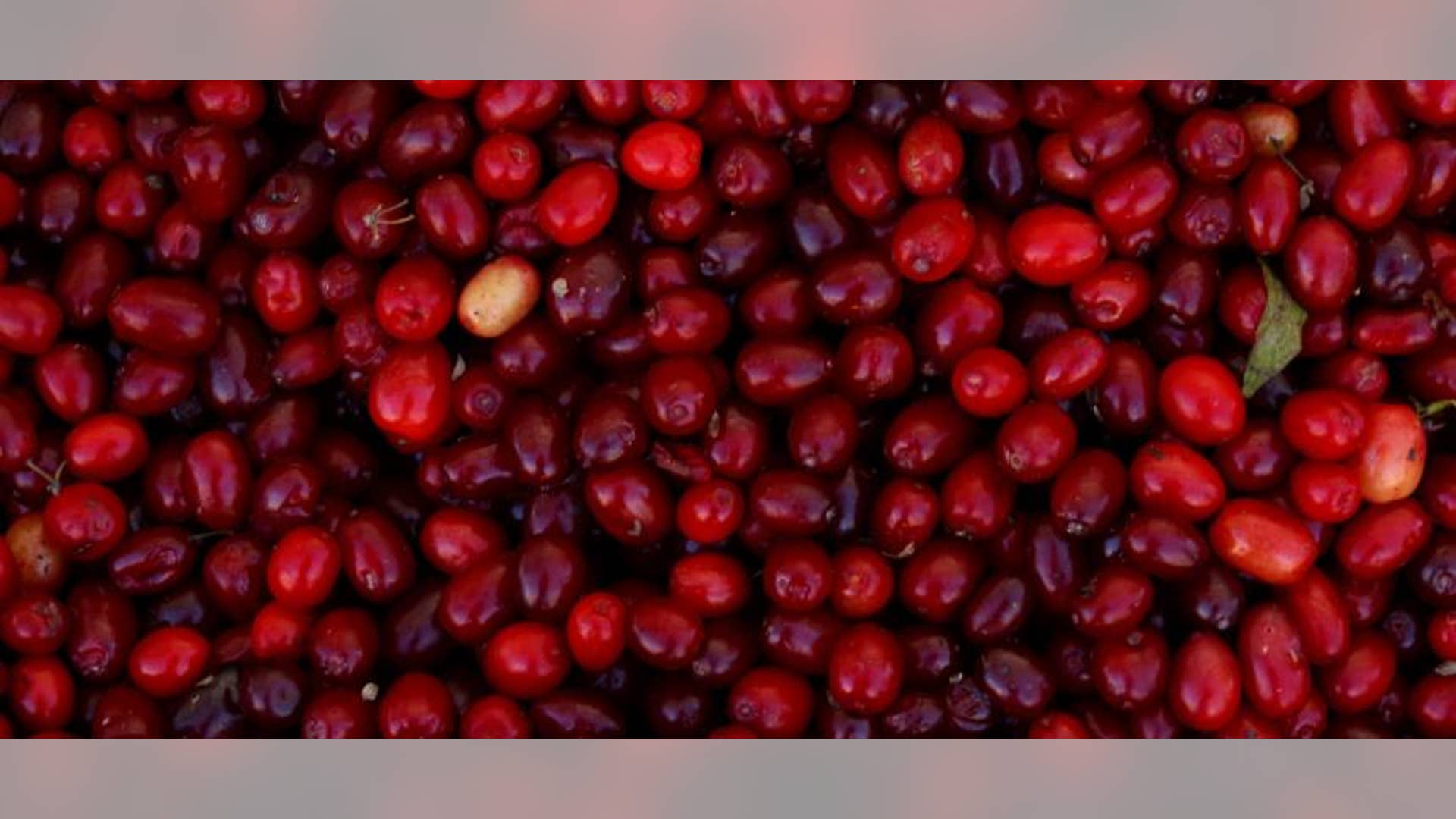 The 6 Healthiest Berries for Women’s Hearts Fox News