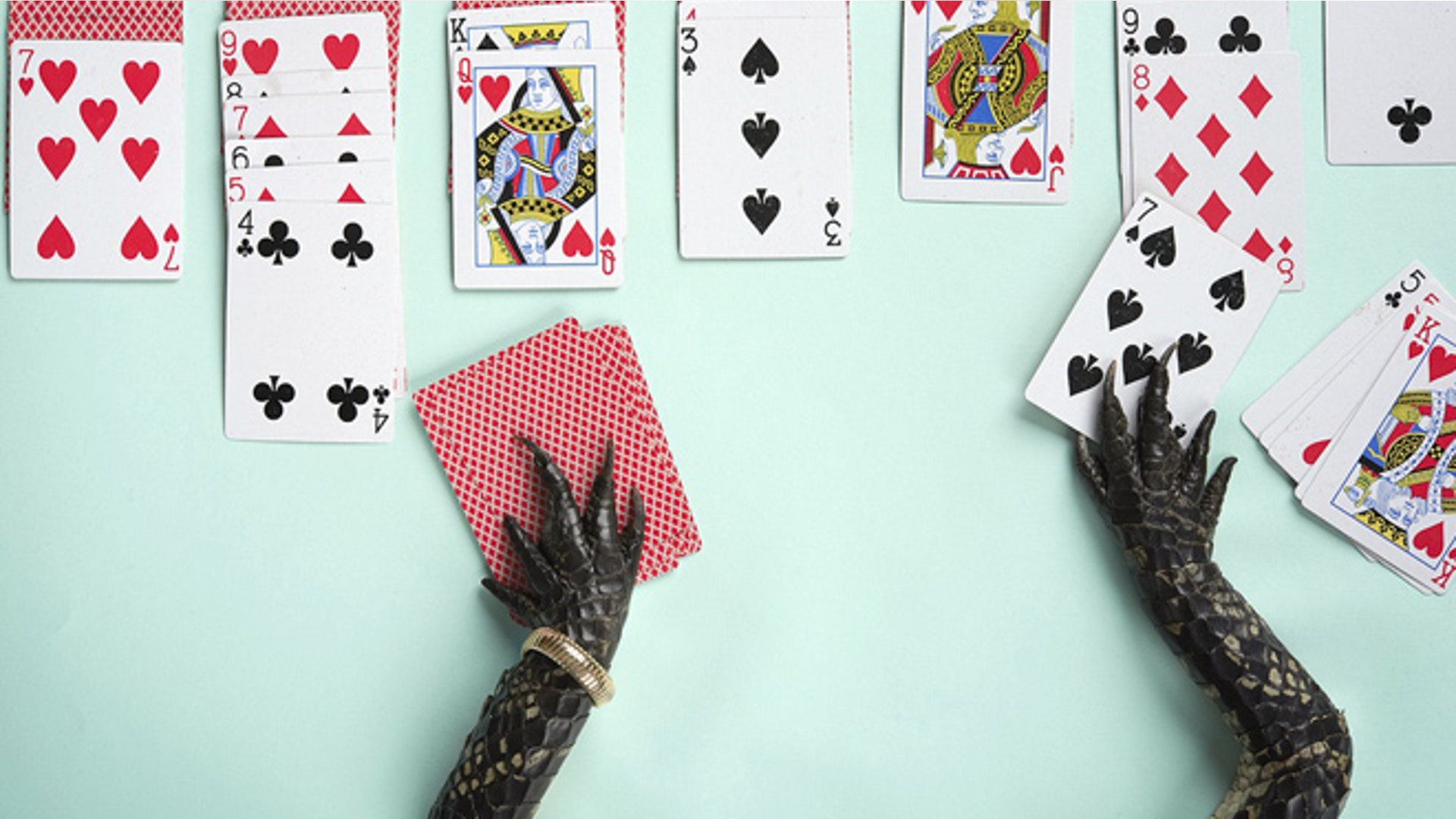 Crocodile cards