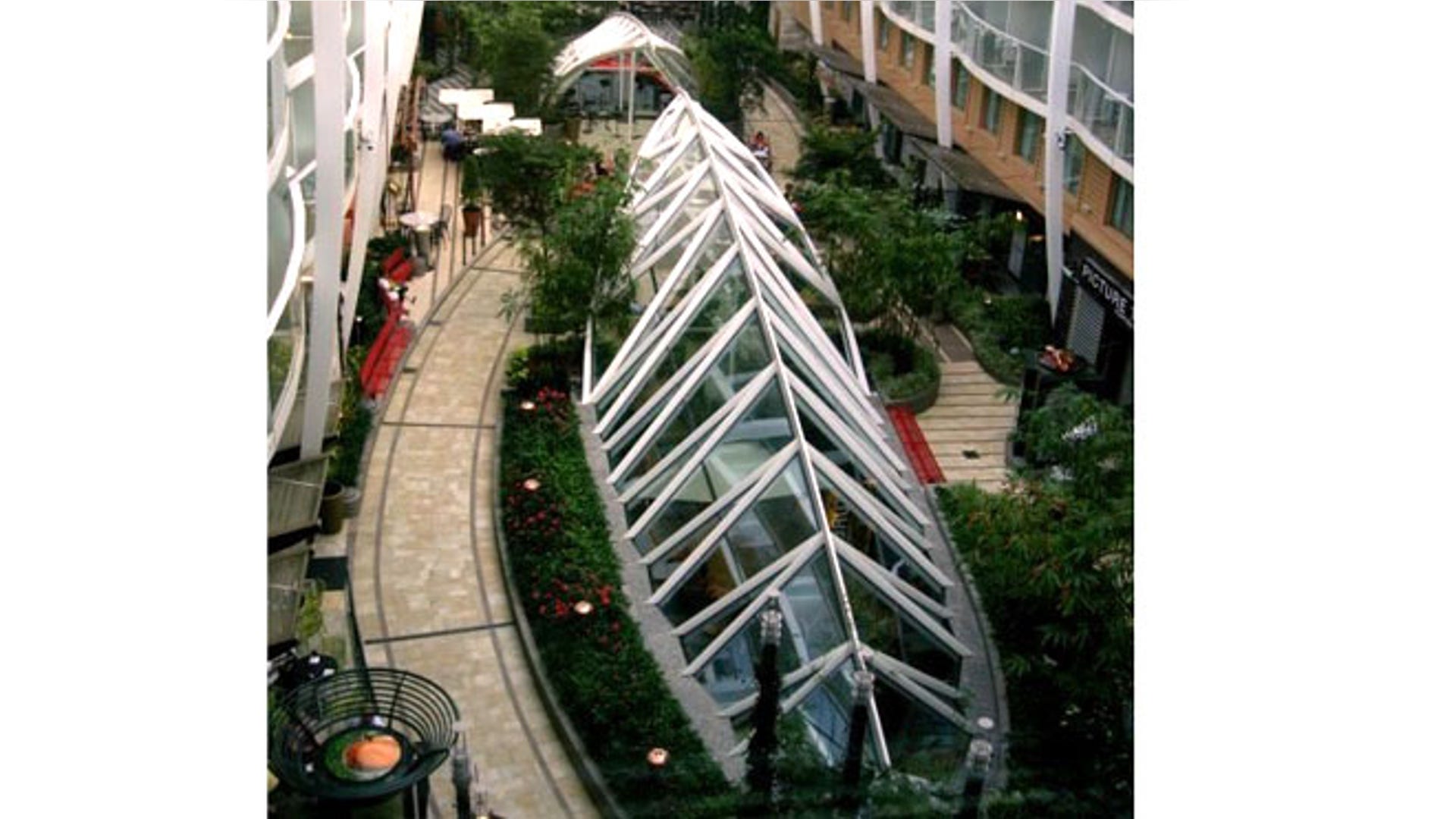 cruise_centralparkOASIS