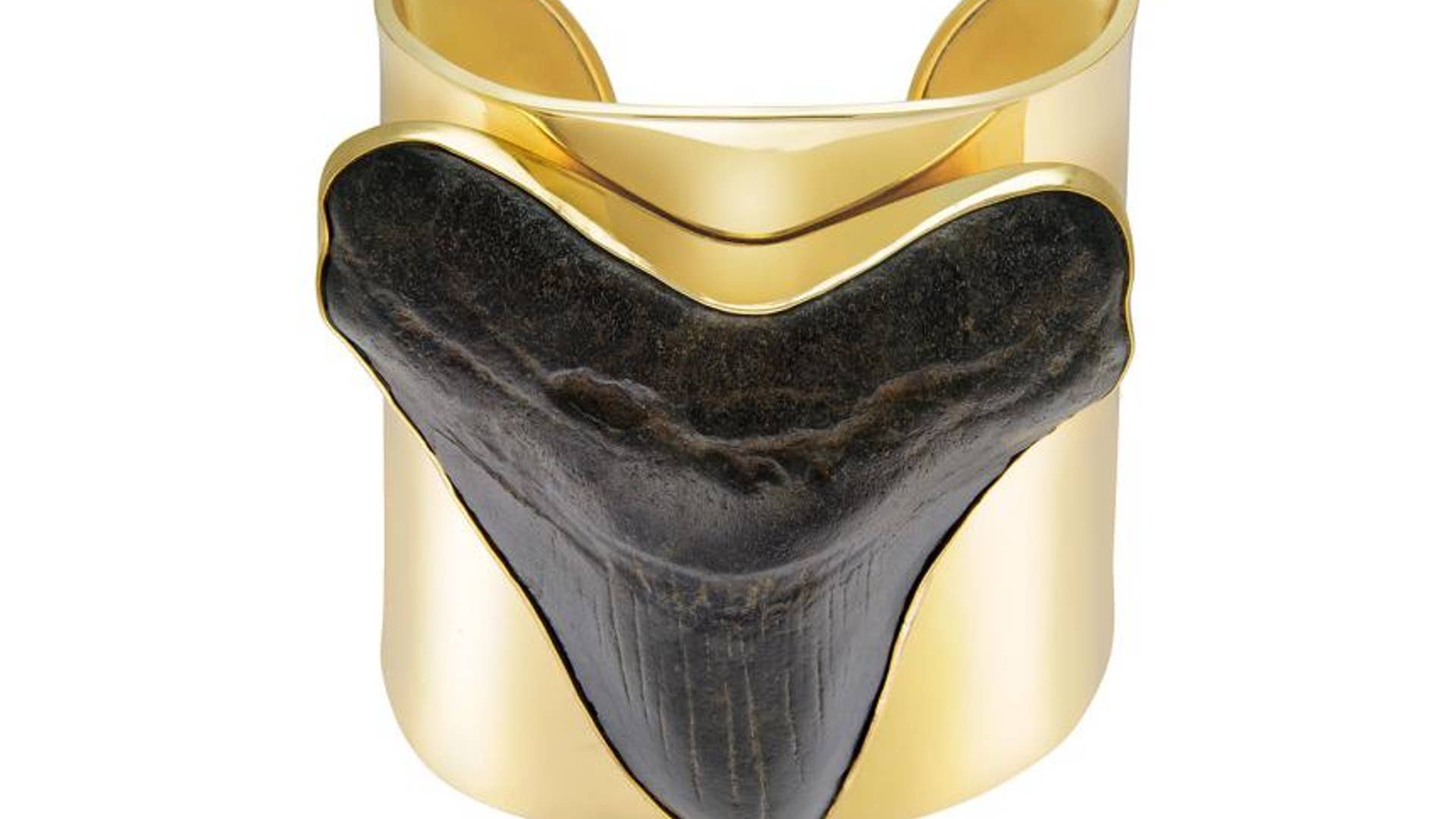 Shark Fossil Tooth Cuff Bracelet by Charles Albert
