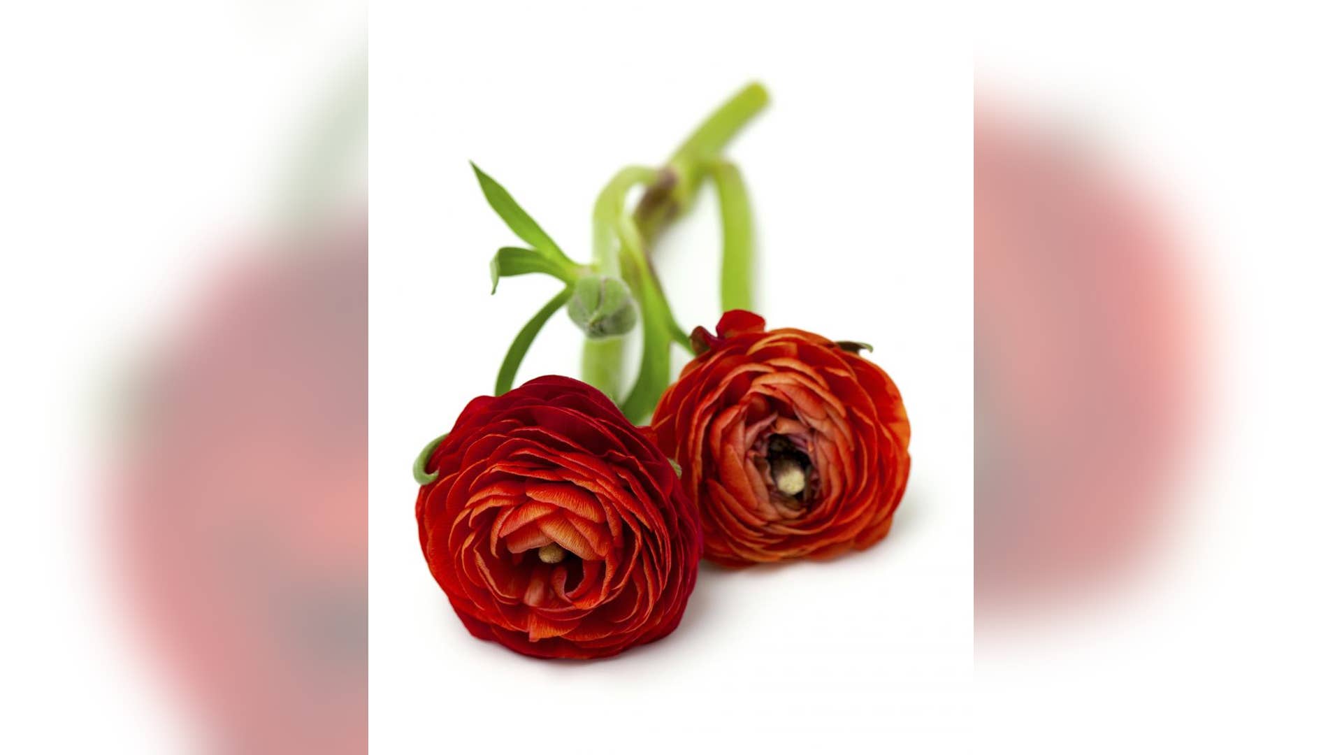 11 Surprising Items That Need to Be Refrigerated Fox News