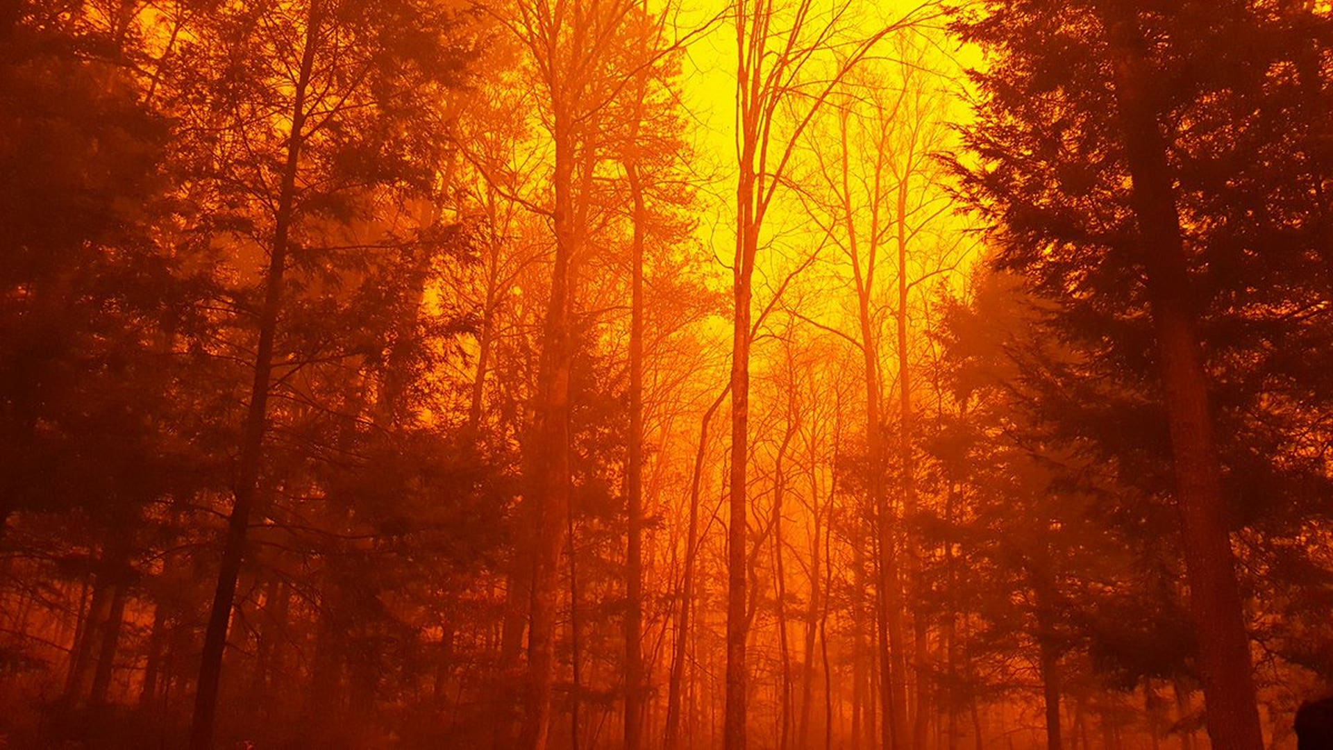 Slideshow Great Smoky Mountain Wildfires Fox News