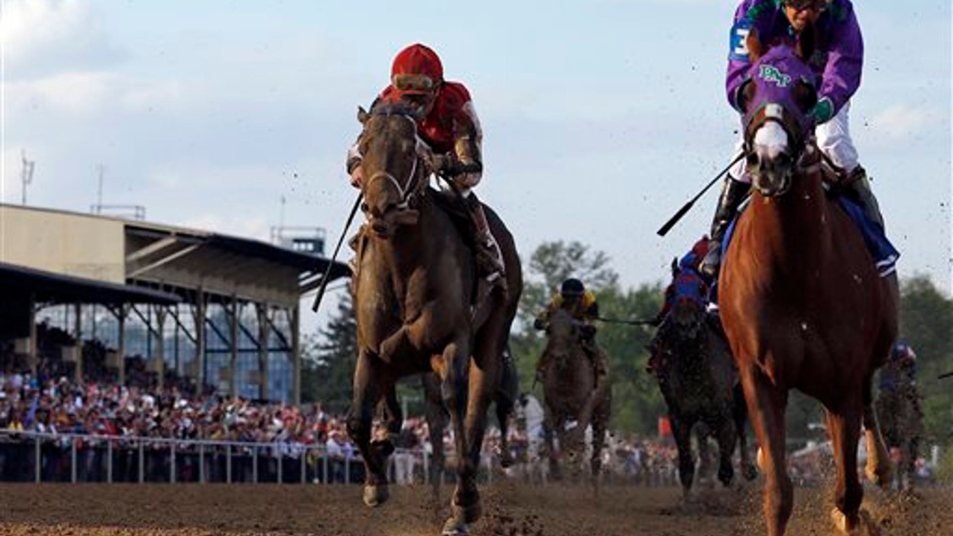 California_Chrome_28