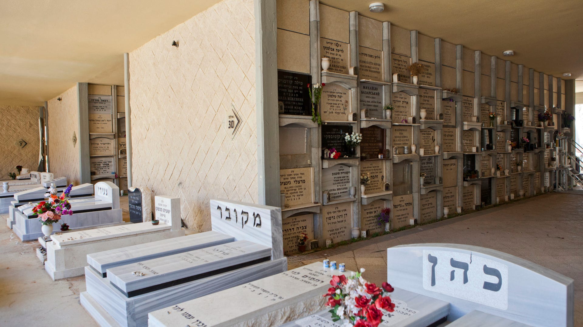 cemetery_overcrowding__2_