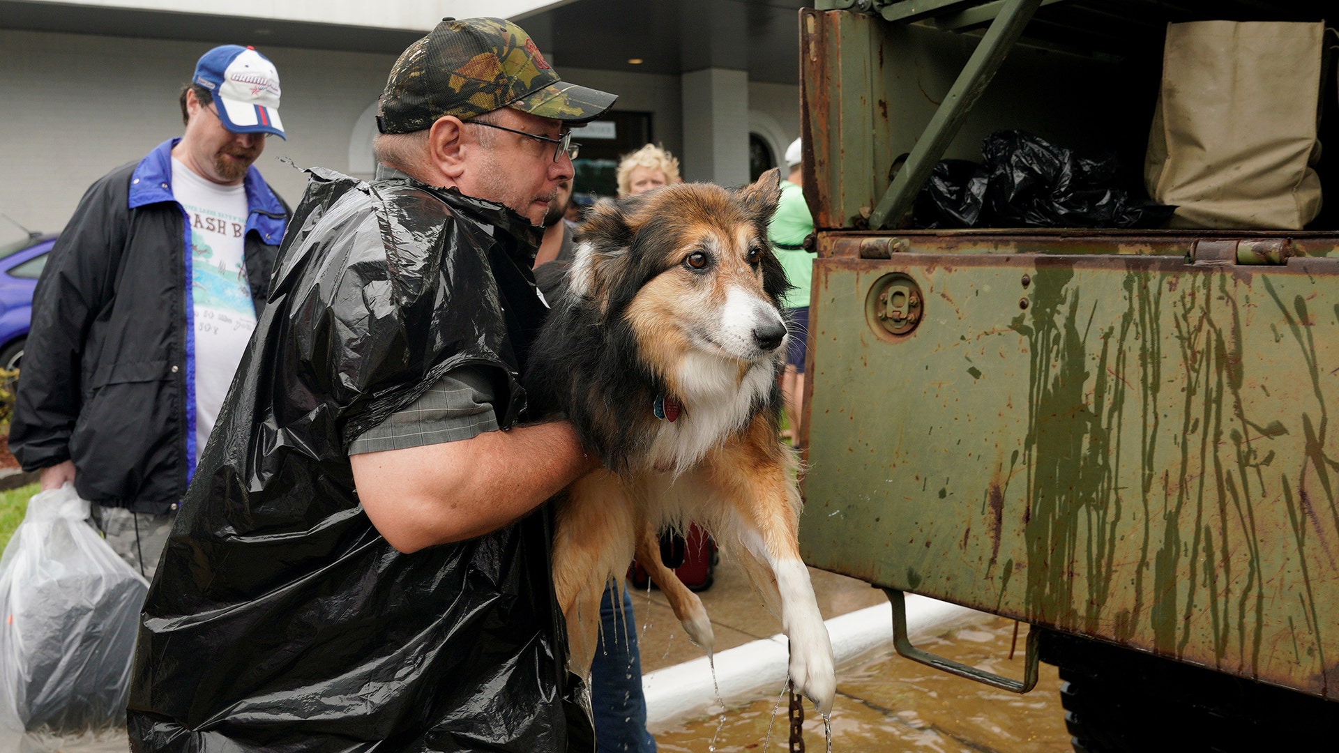 Volunteers load pets into a collector's vintage military truck to evacuate them from flood waters from Hurricane Harvey in Dickinson, Texas