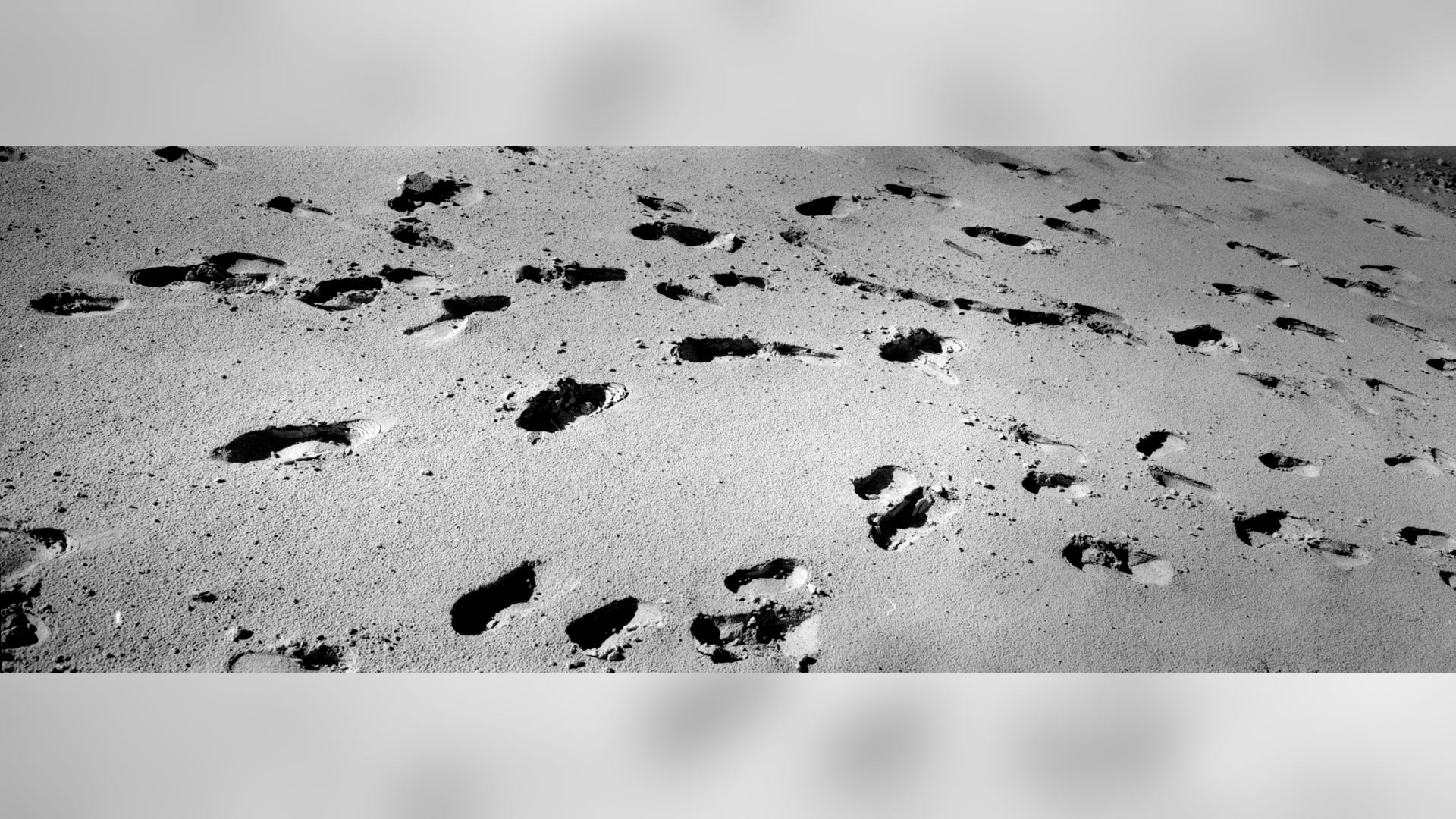 Peru_Rainforest_Destroyed__5_