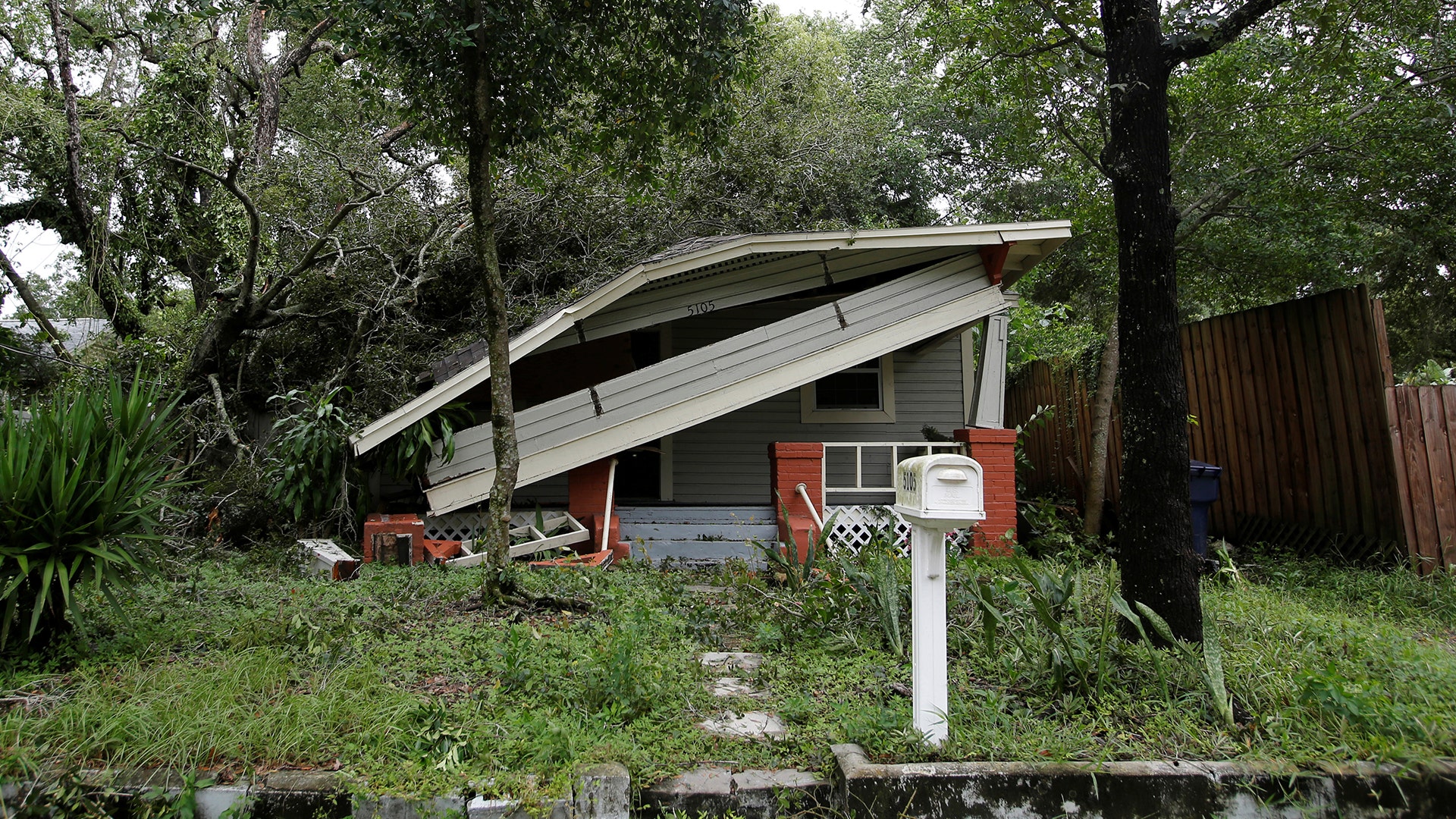A home damaged by a tree is seen after Hurricane Irma made landfall in Tampa, Florida, Monday