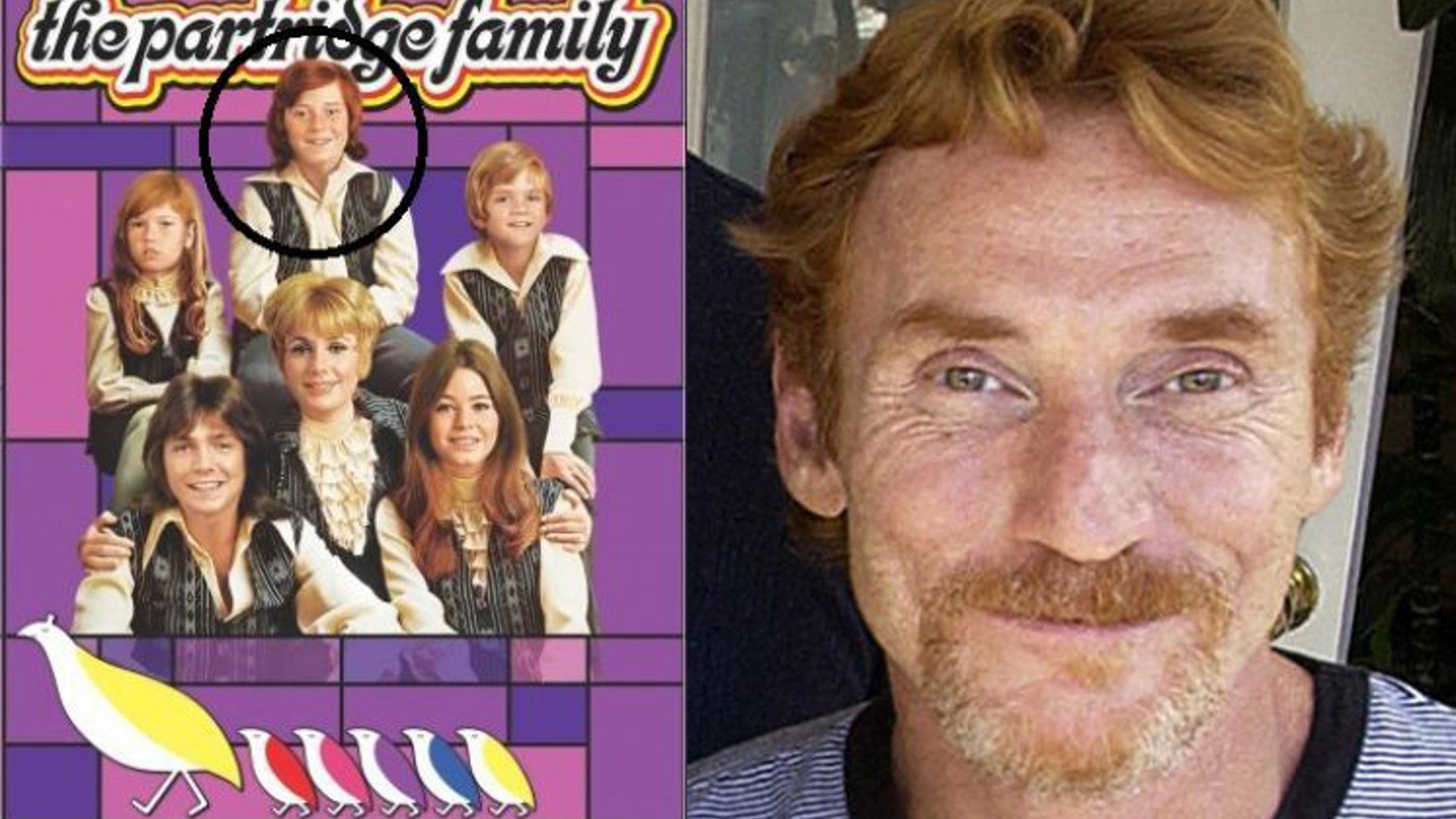 Danny Bonaduce