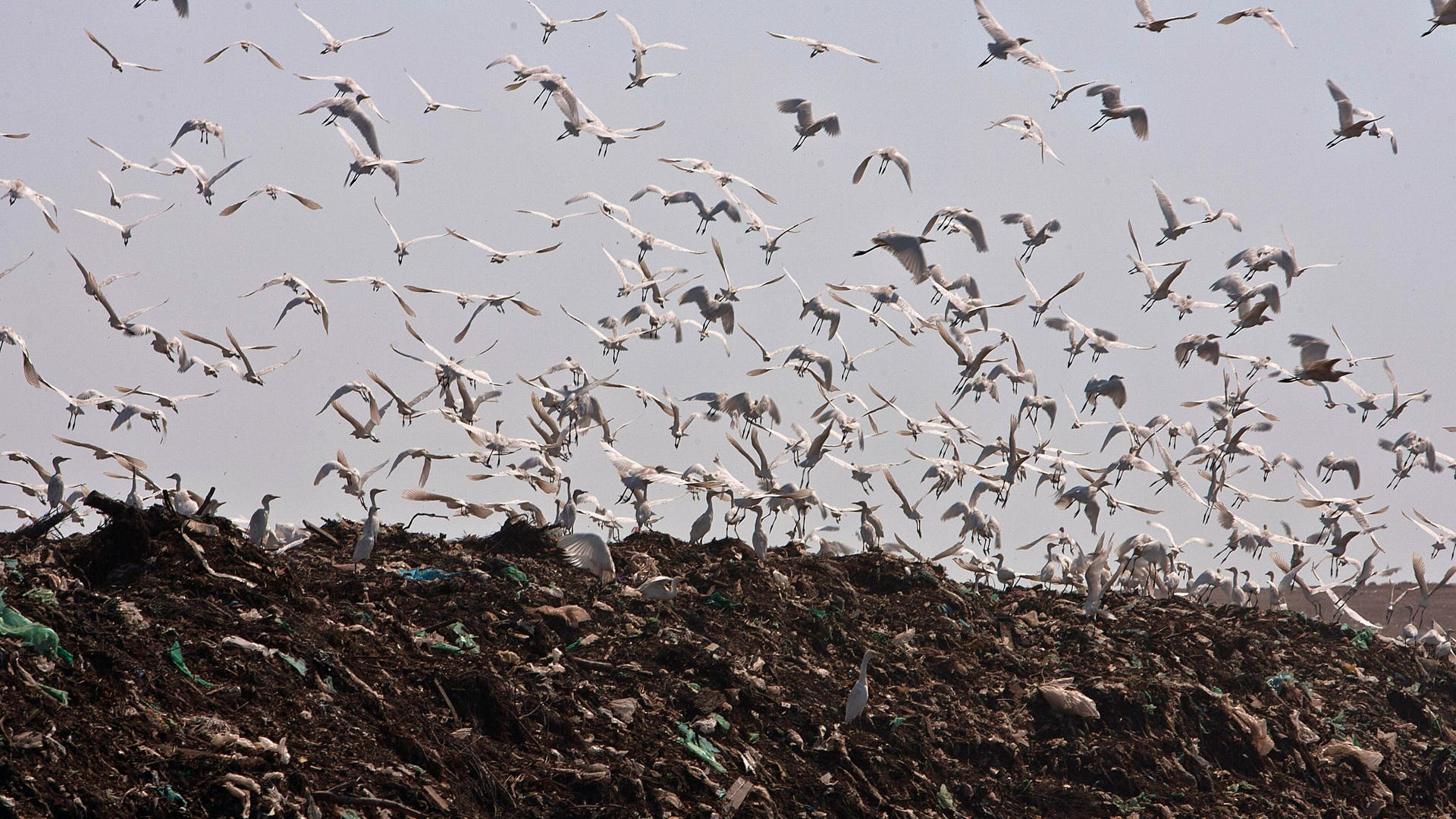 Mexico City closes world's largest trash dump Fox News