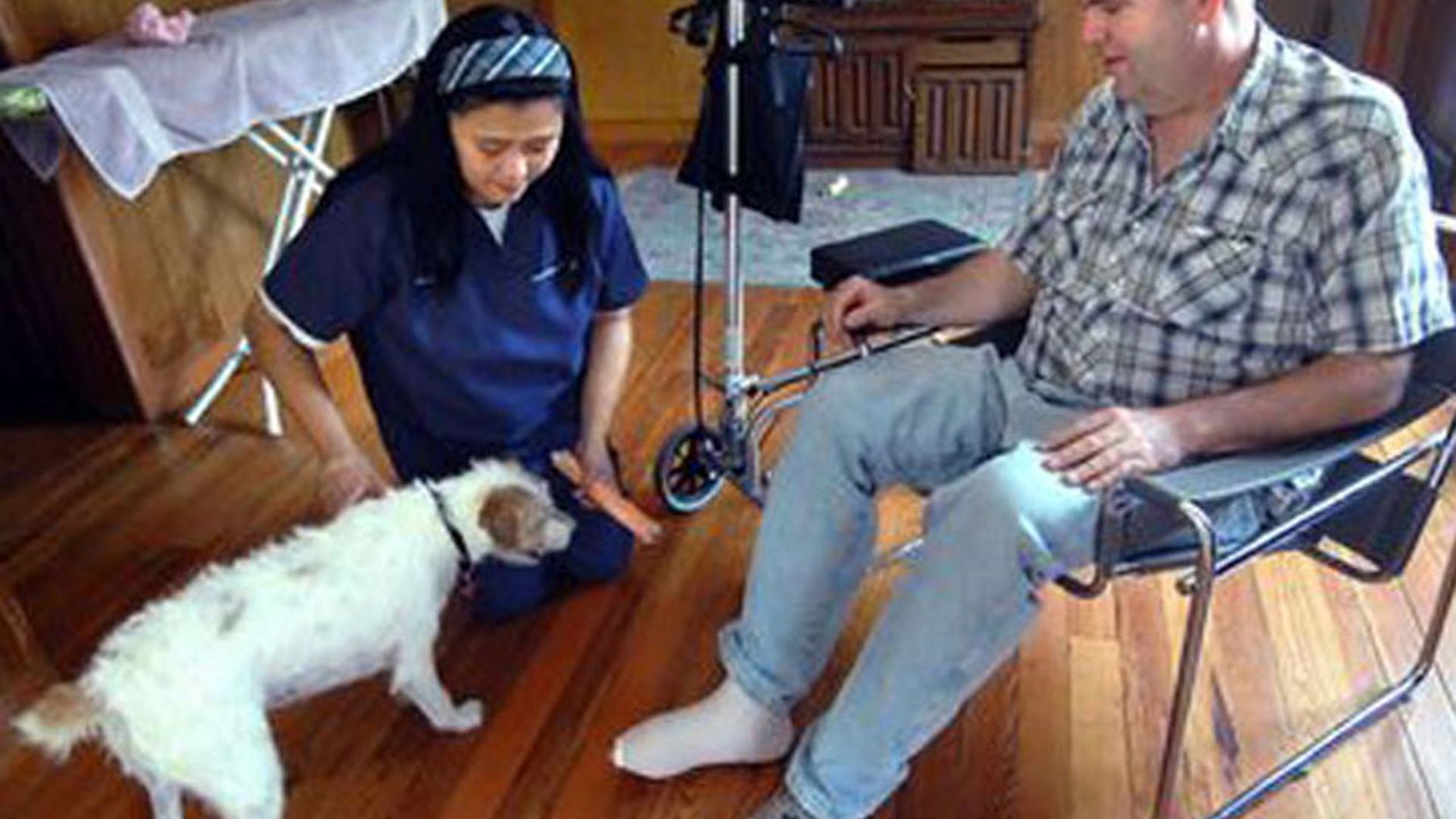 Kiko the dog bites off owner's infected toe