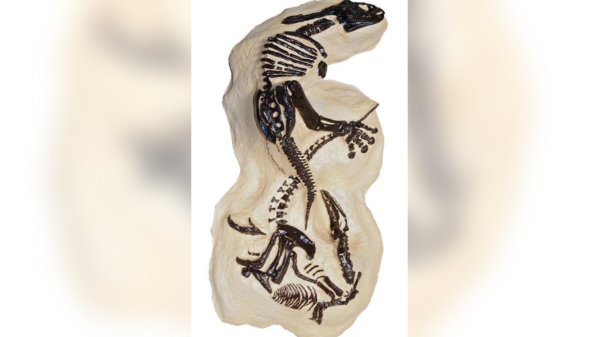 <b>Dueling Dinosaurs</b>