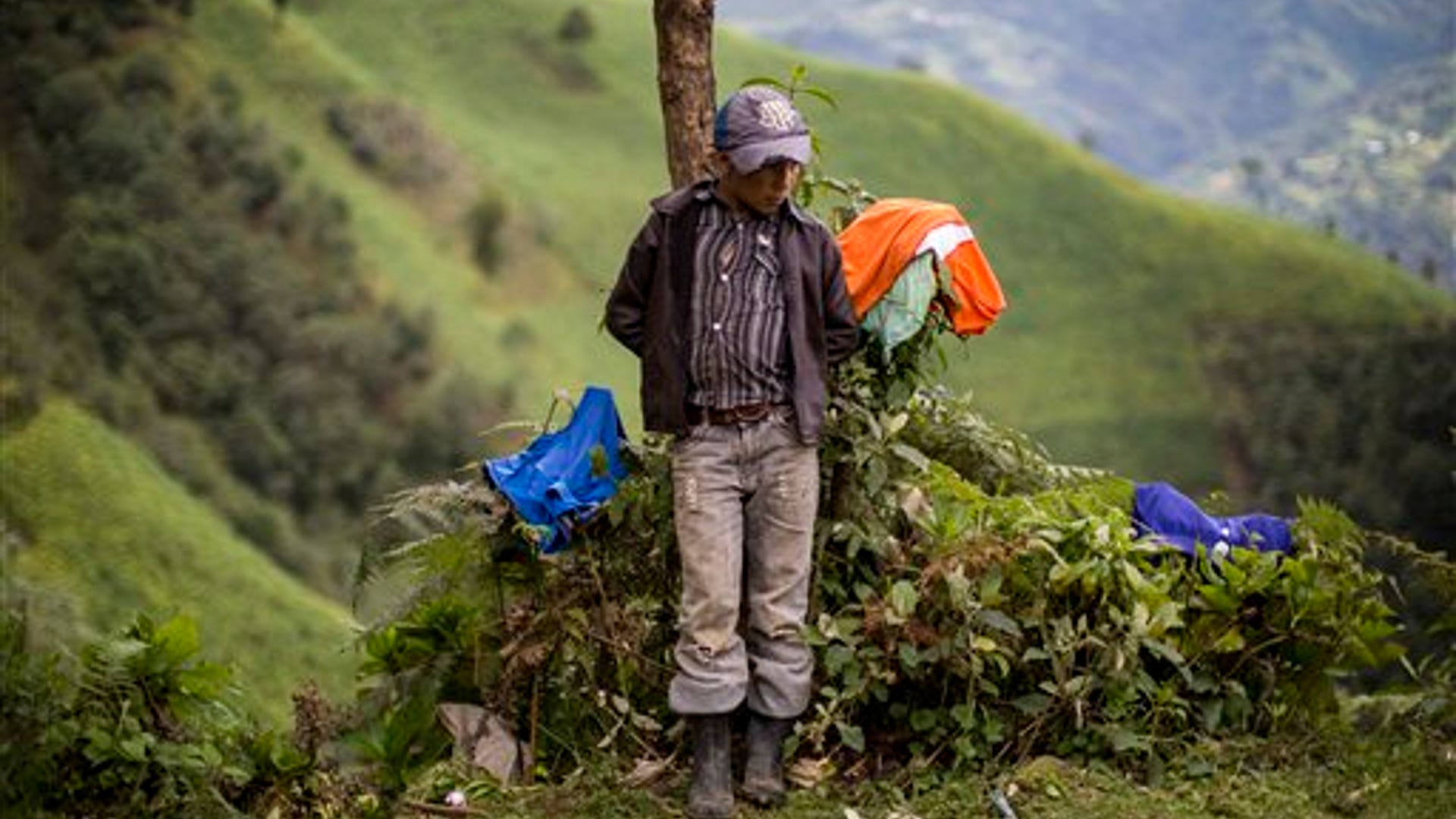 6eff781ec5d1b419580f6a706700f33b