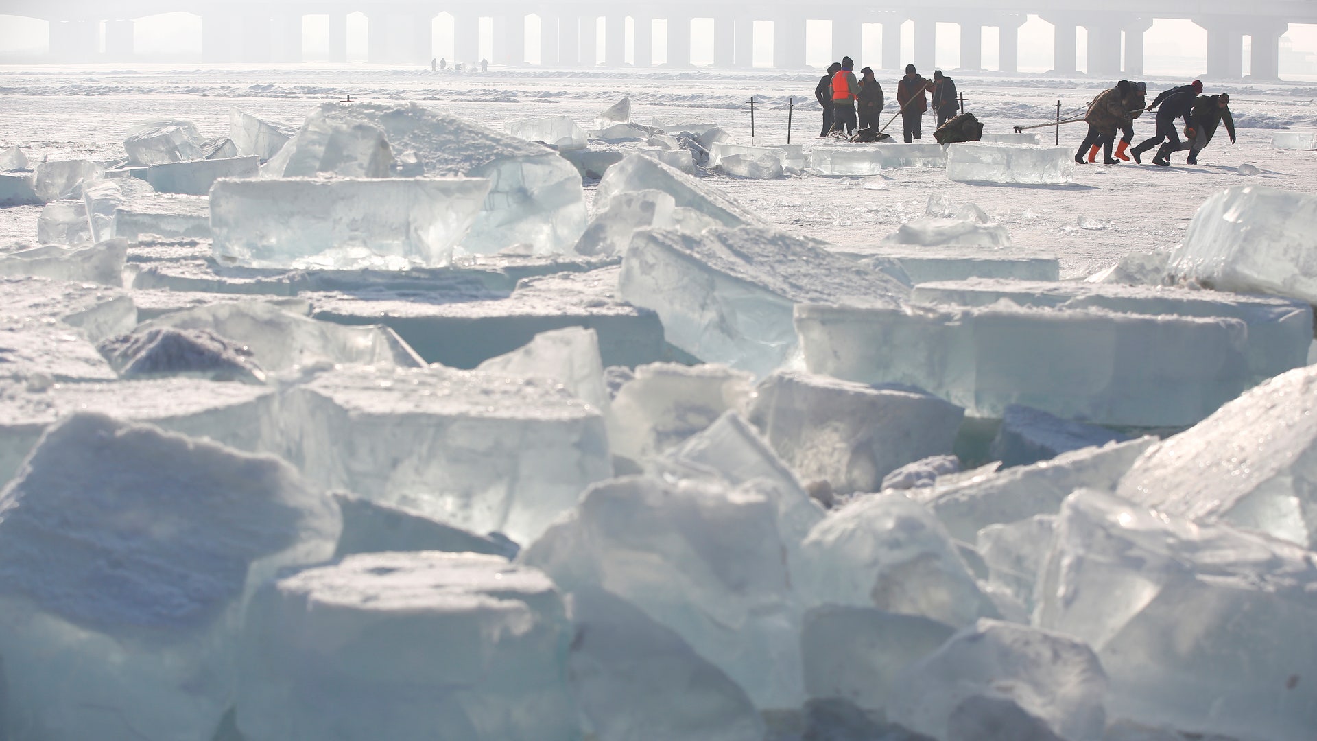 Workers pull a giant ice cube out of the frozen Songhua River as they extract ice to make sculptures. 