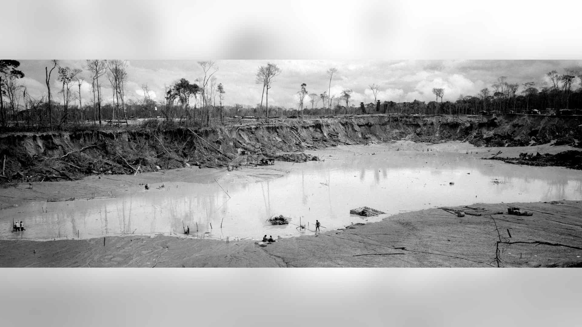 Peru_Rainforest_Destroyed__8_