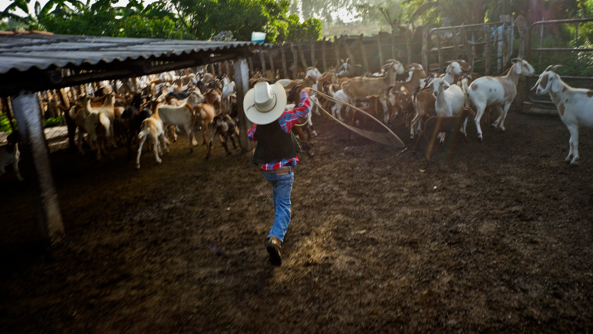 Cuba_Child_Rodeo_Phot_Vros__7_