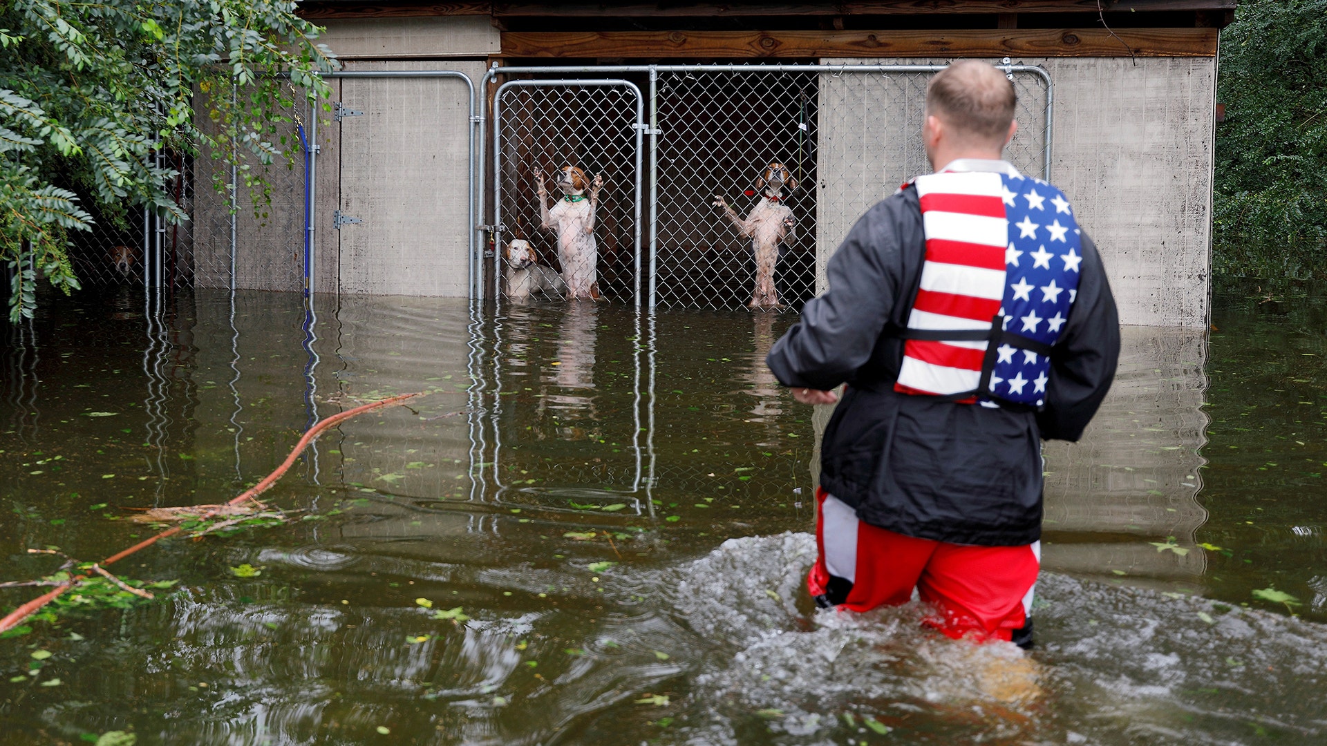 Dogs that were left caged by an owner, who fled rising flood waters from Hurricane Florence, are rescued in Leland, N.C., on Sunday.