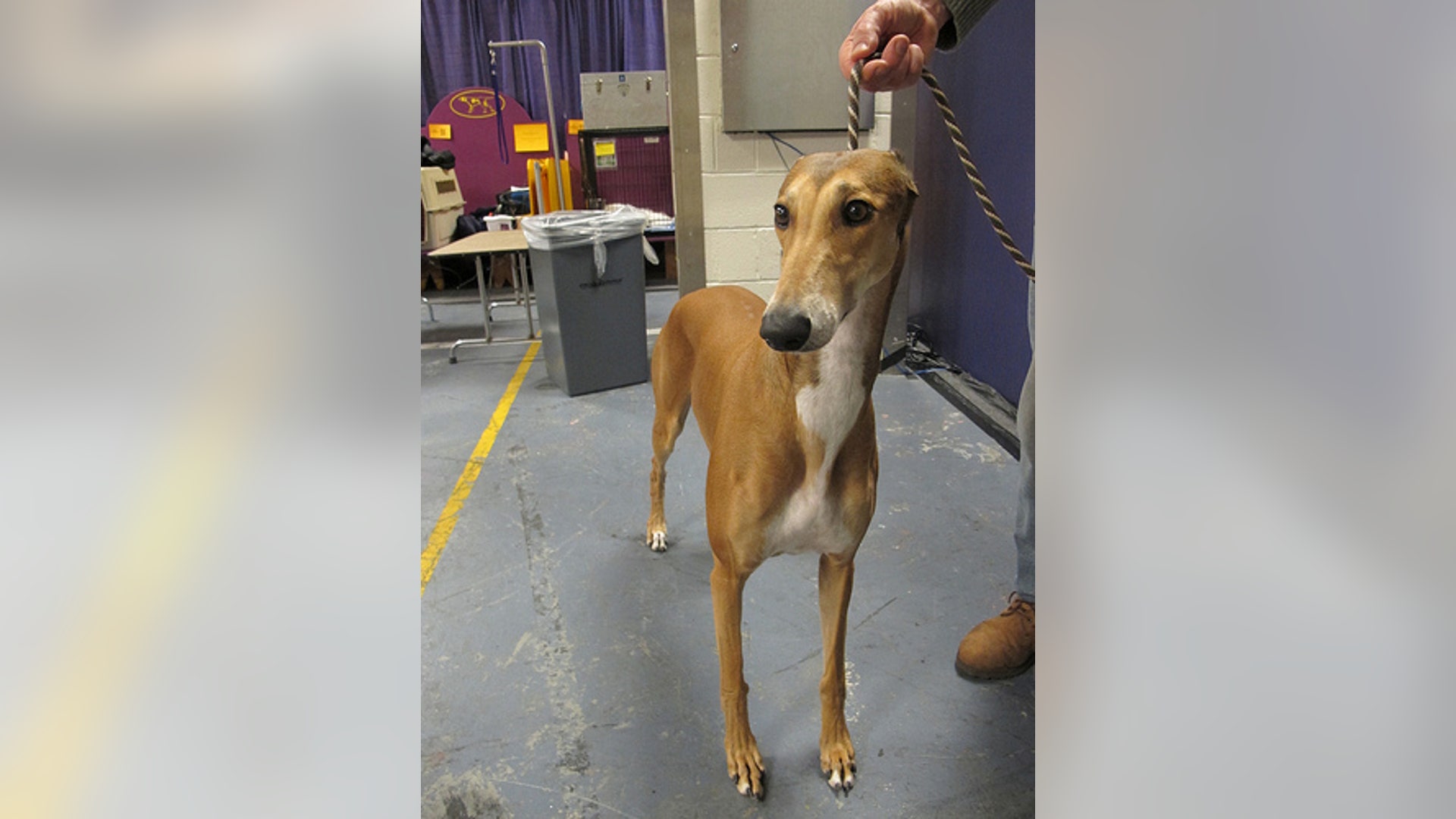 8466249497_f986f1640b