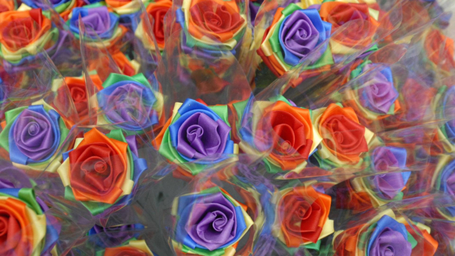 Rainbow_Roses