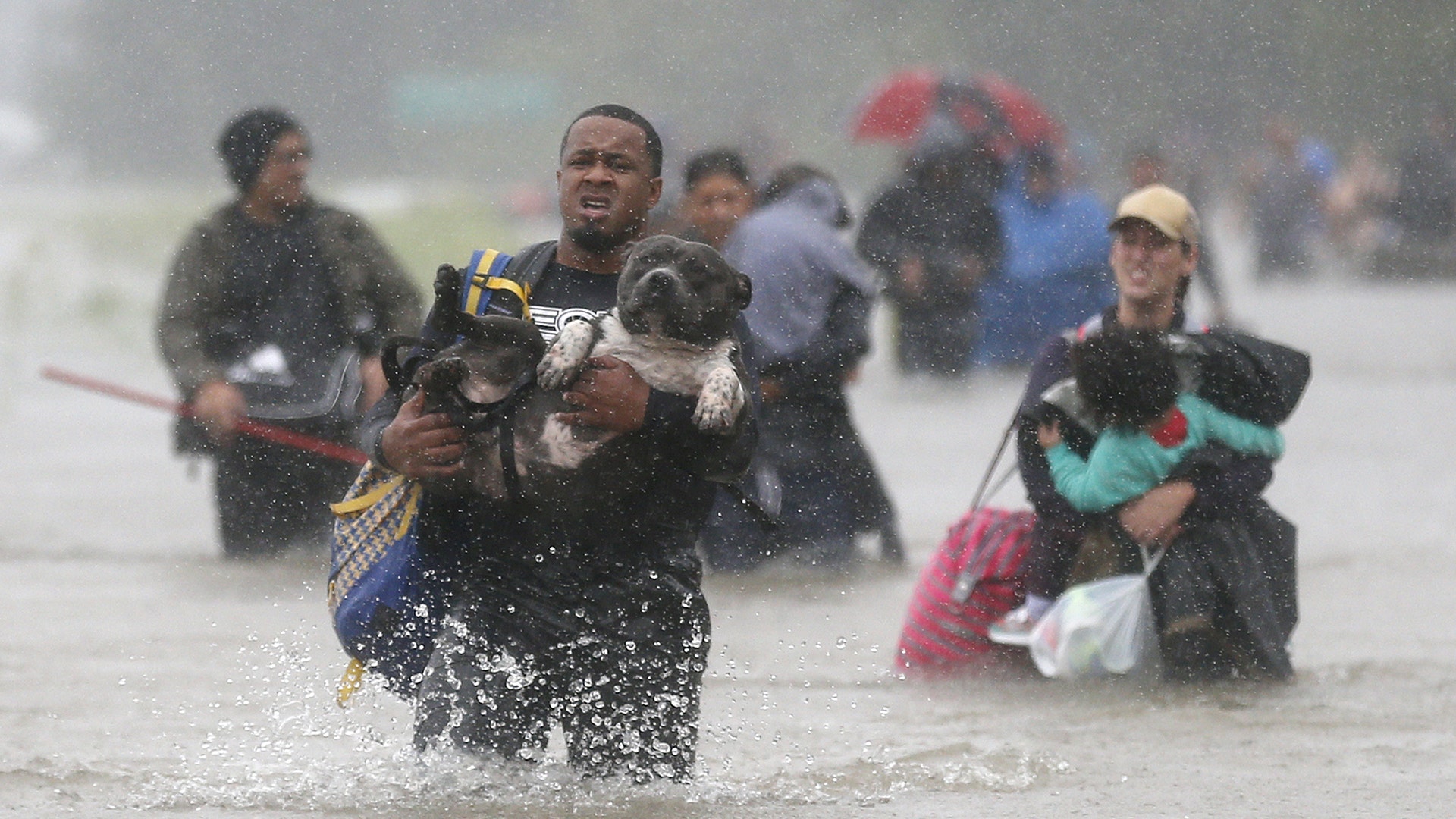 Isiah Courtney carries his dog Bruce through flood waters from Tropical Storm Harvey in Beaumont Place, Houston, Texas, Monday