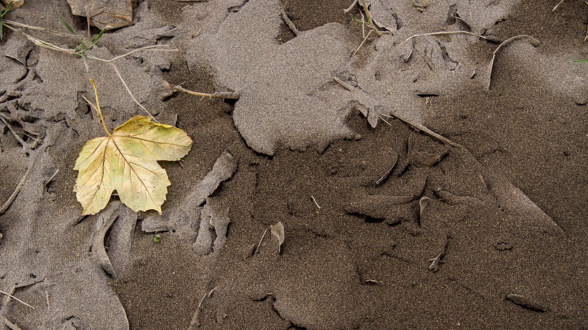 APTOPIX_Argentina_Chi_Vros