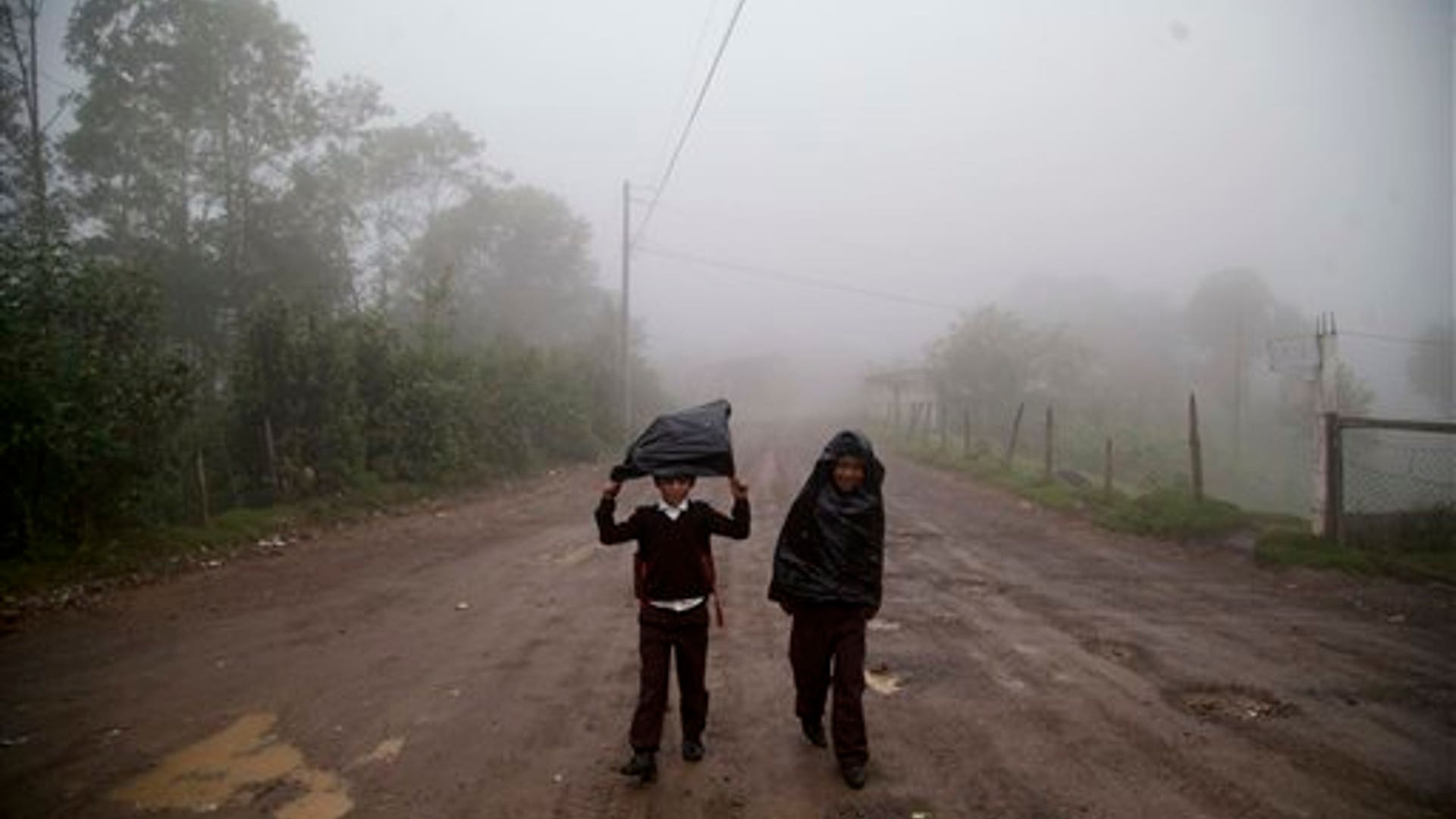 ea1087f0c5d0b419580f6a706700bd15