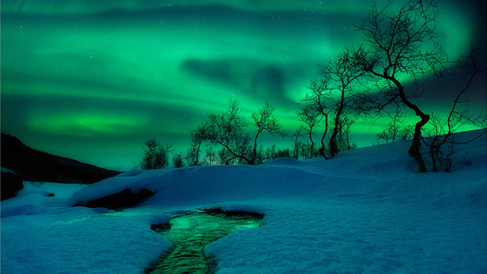 earth_space_runnerup