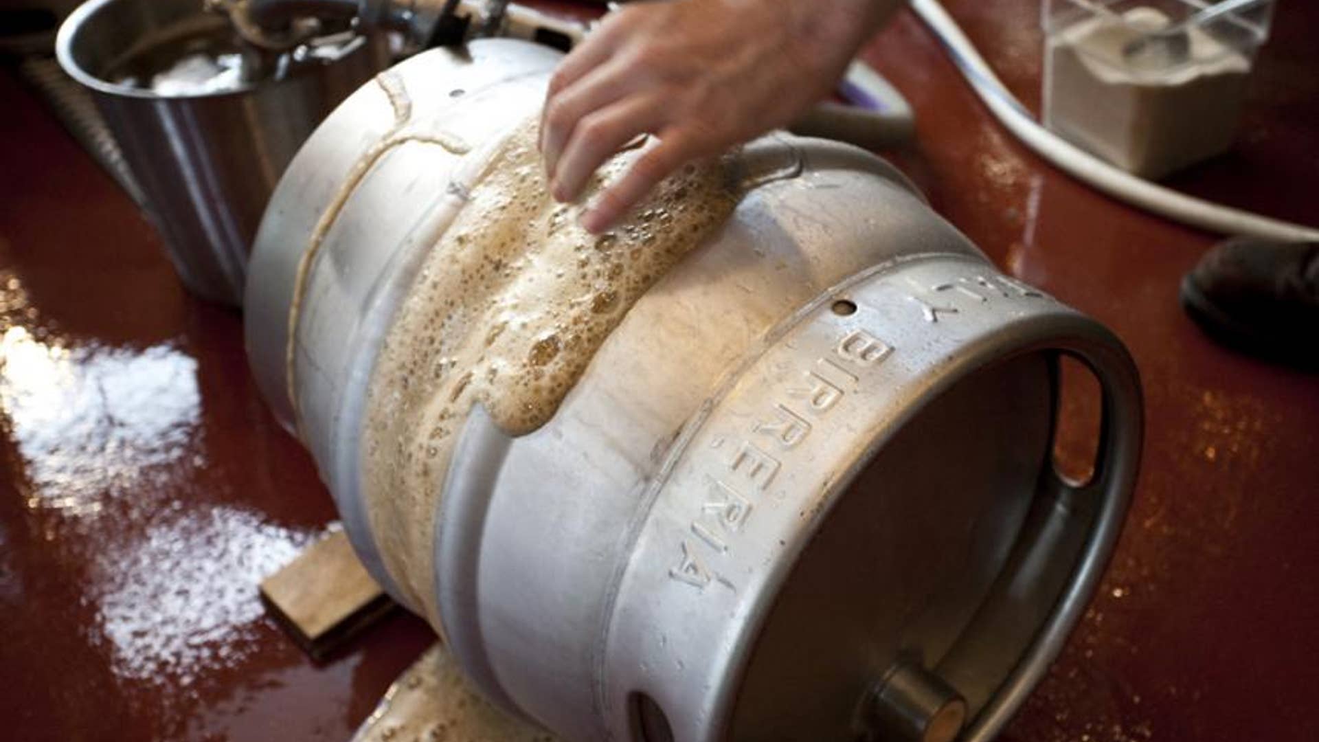 Yeast from a Hornet’s Abdomen