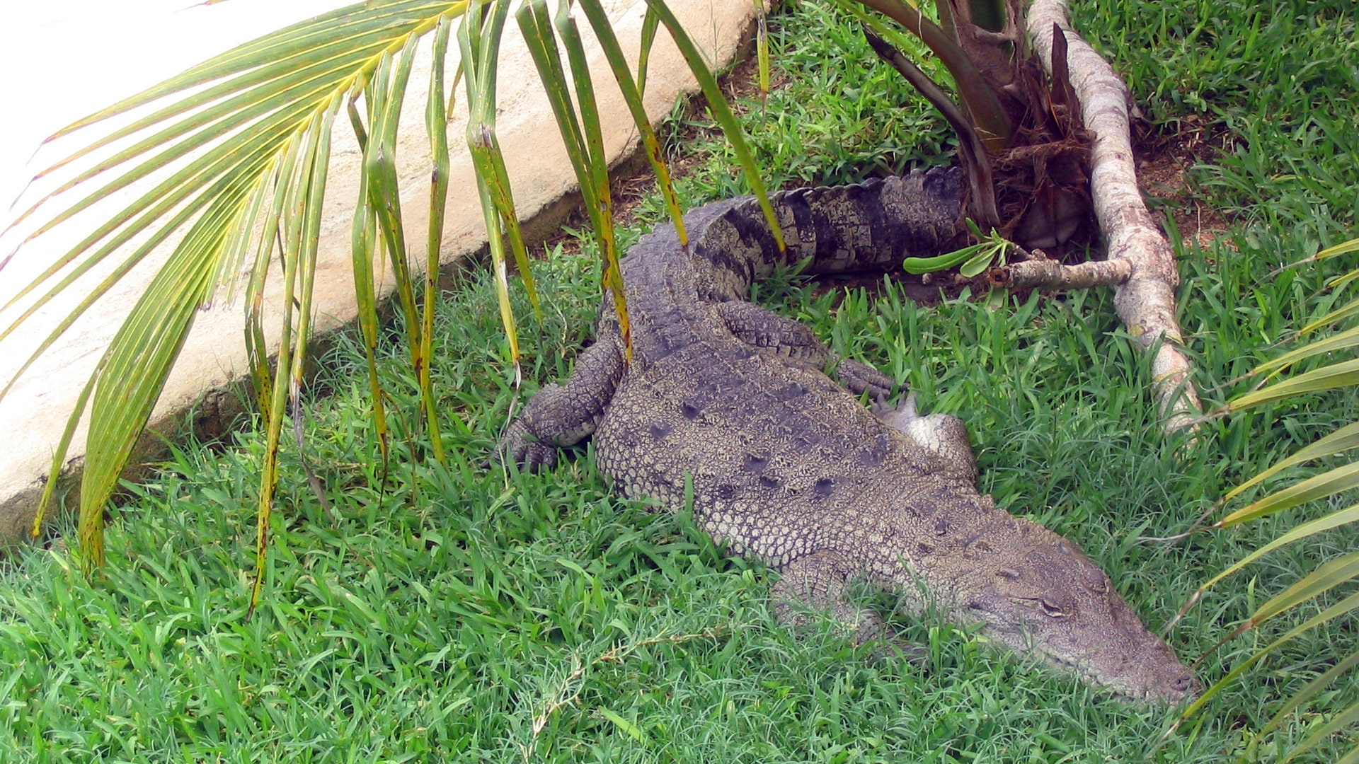 grand_palladium_kantenah2