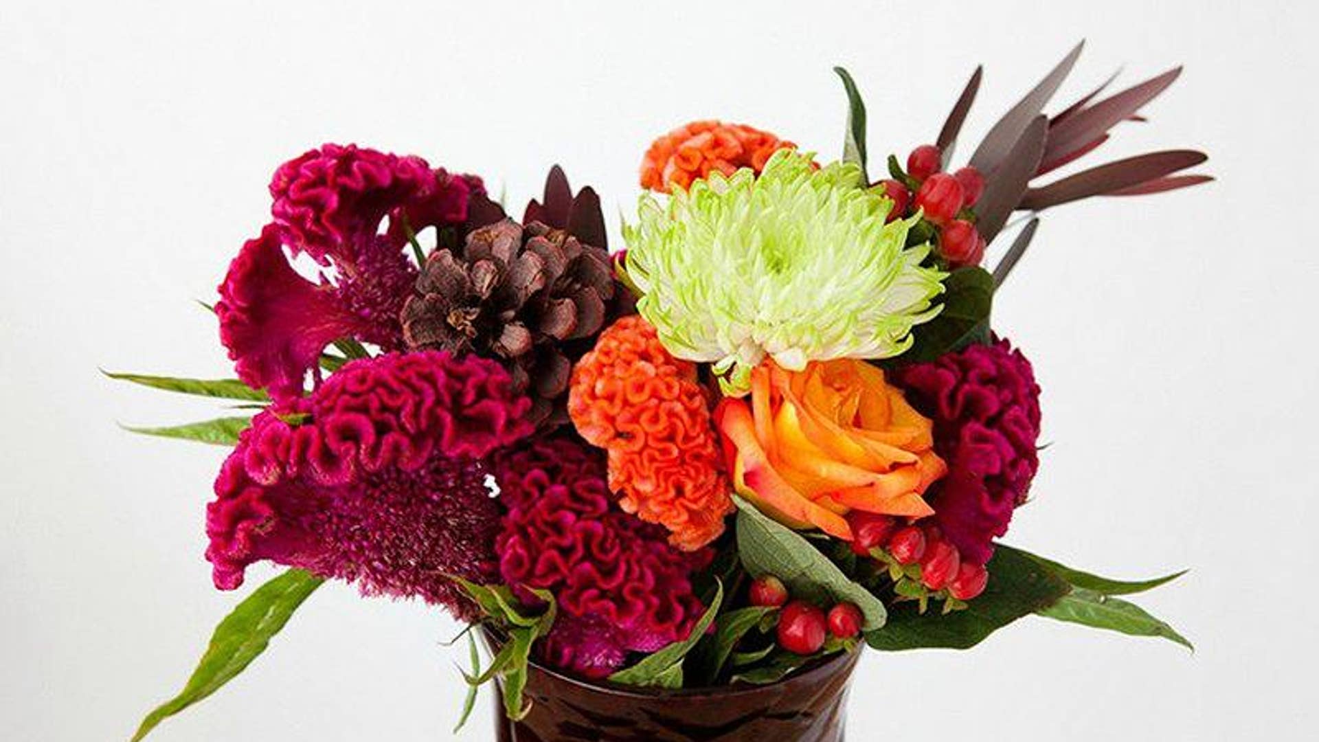 Cockscomb Centerpiece