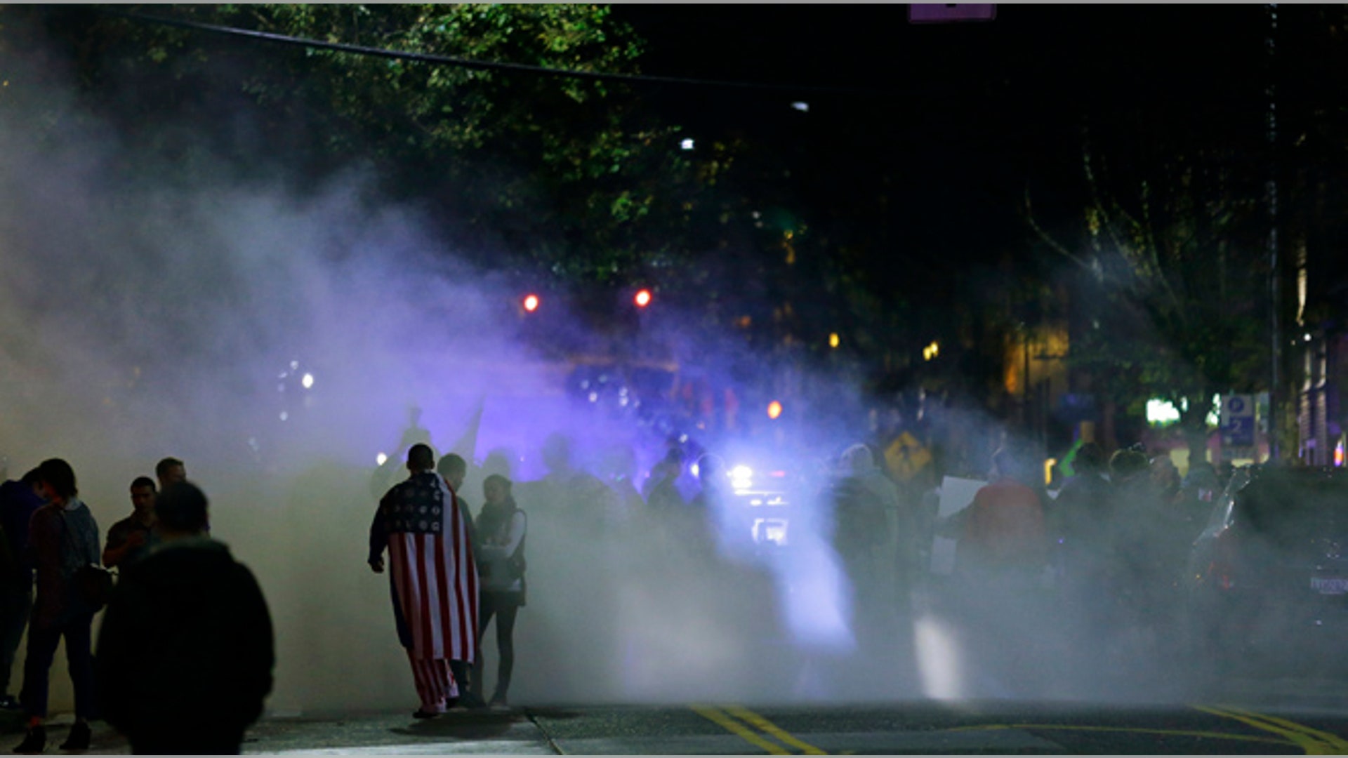 election_protest__4_