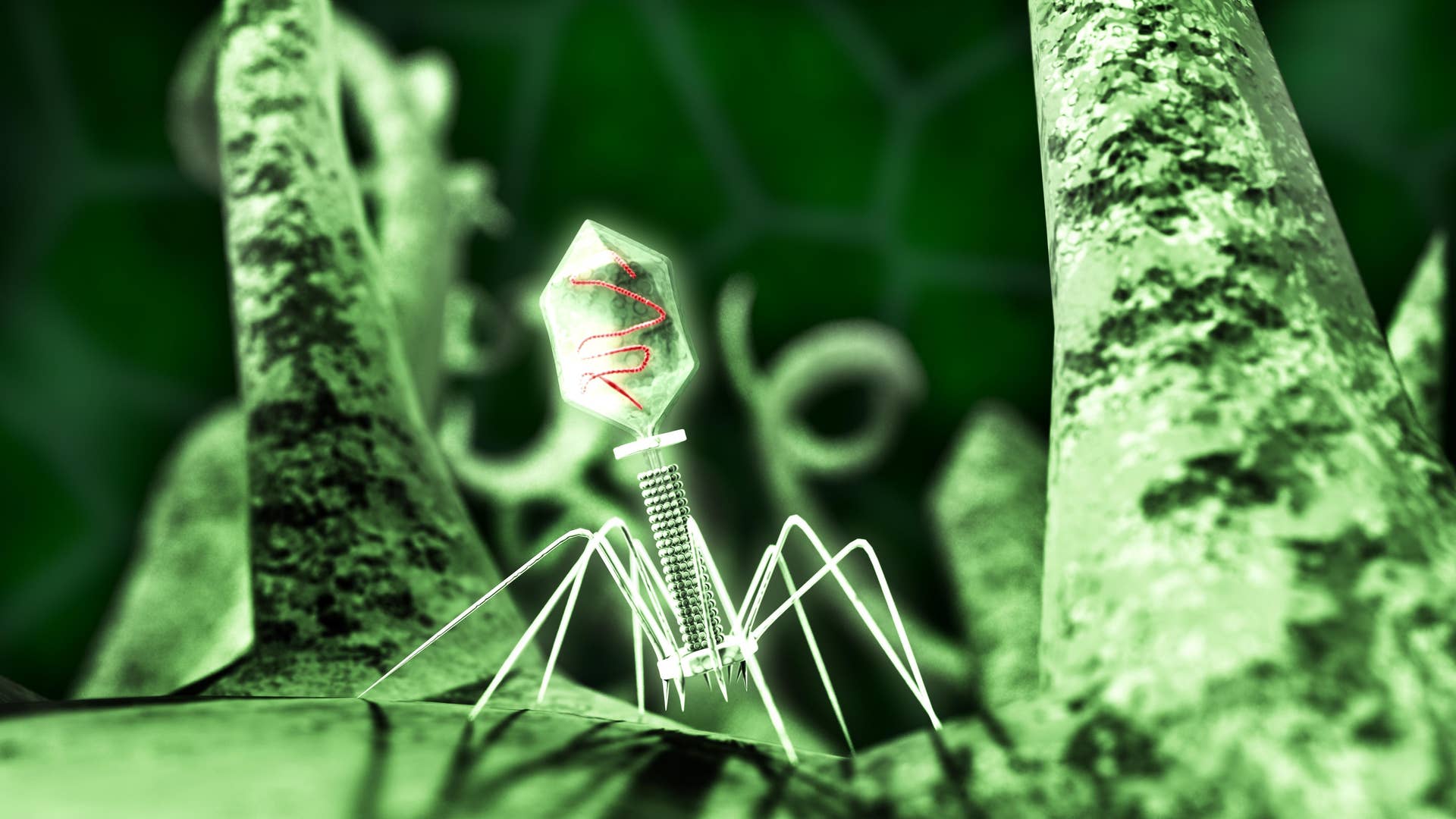 Мельчайшая форма жизнь. Вирус бактериофаг. Бактериофаг 3д. Бактериофаг облигатный паразит. Вирус бактериофаг под микроскопом.