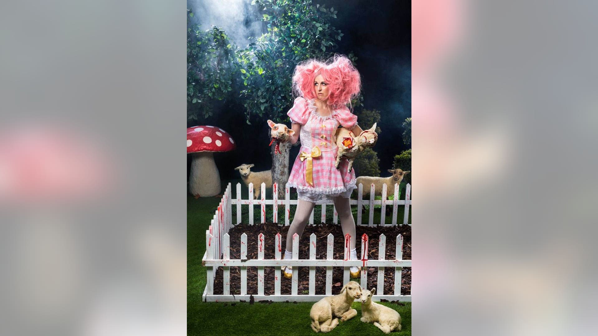 Mary and her little lambs