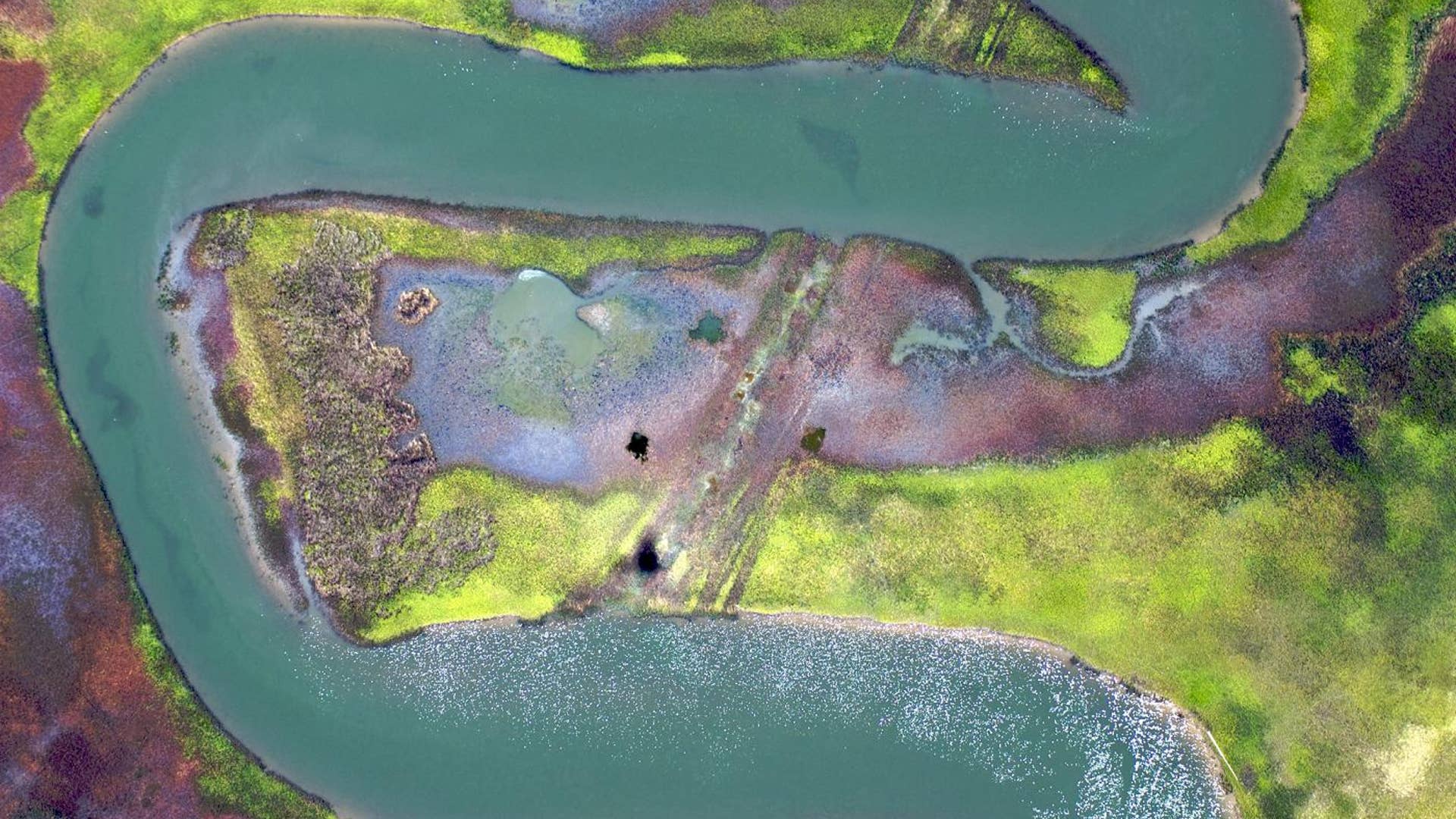 Galveston Bay Estuary