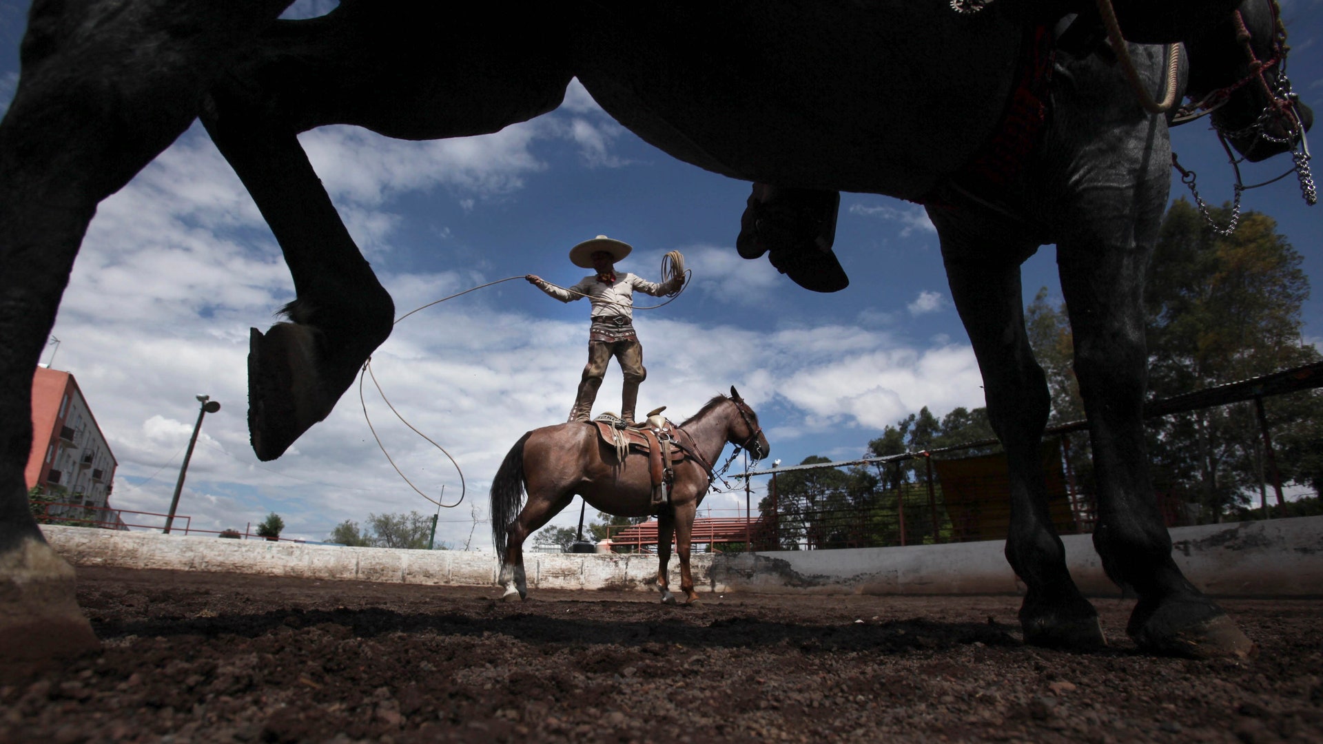 Mexico_Charro_Culture__2_