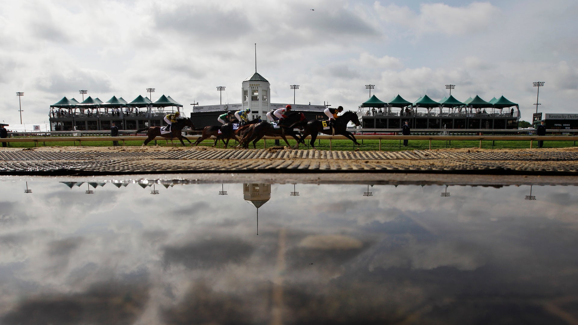 Kentucky_Derby_Horse__Pata_9_