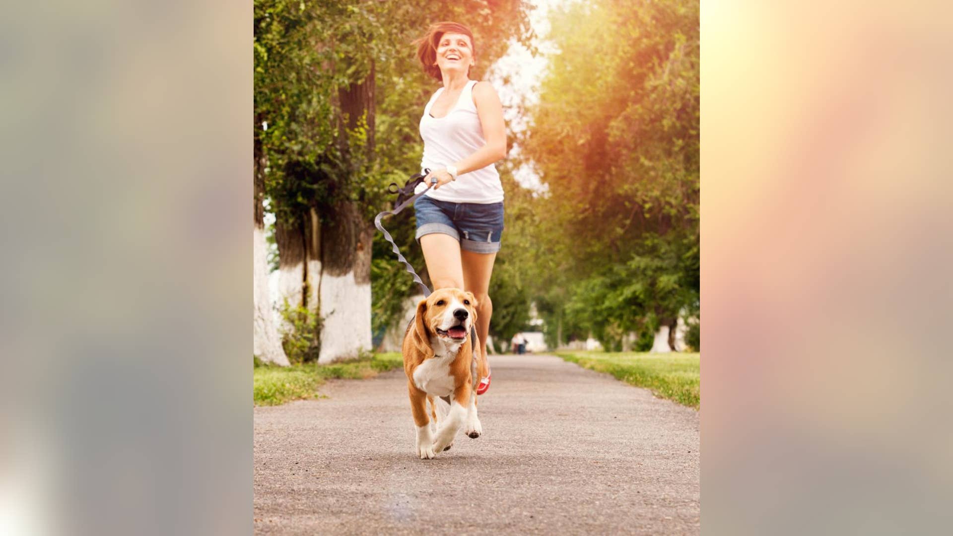 Exercise Gives You More Vim and Vigor