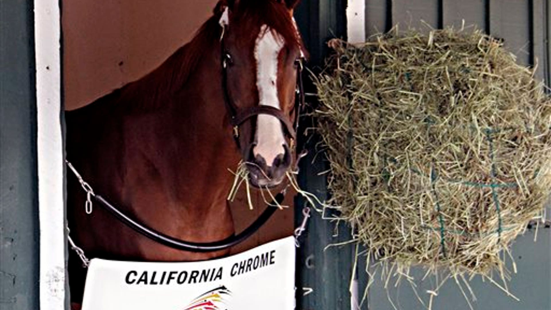 California_Chrome_15
