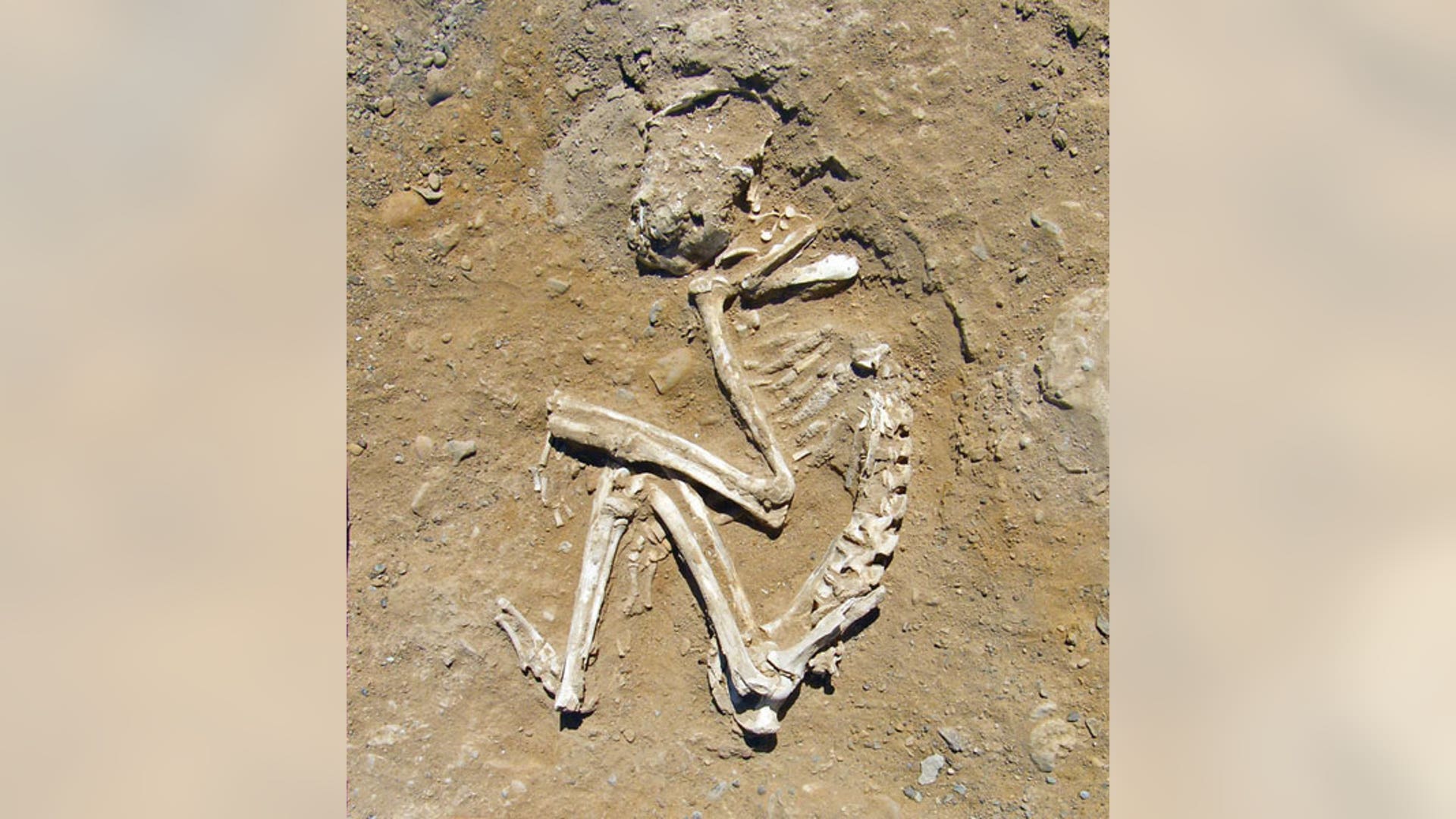 Egypt: World's First Zoo