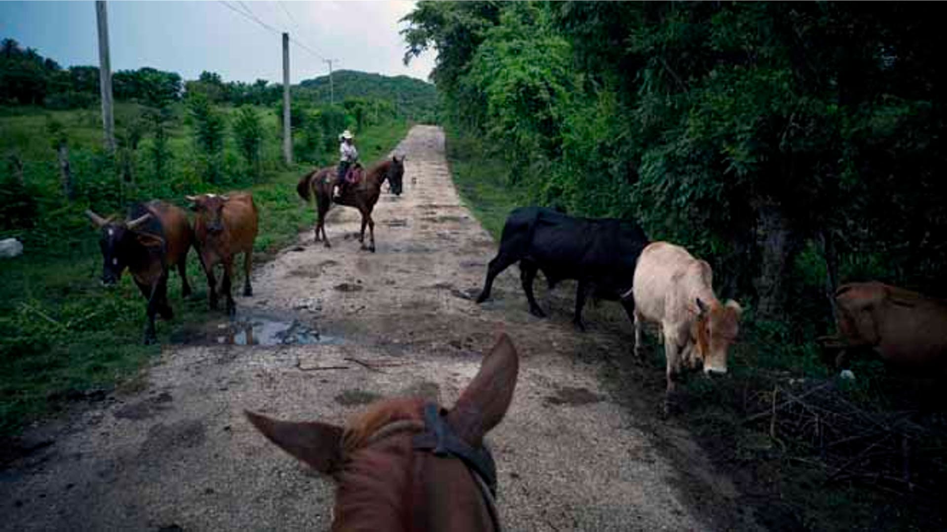 Cuba_Child_Rodeo_Phot_Vros__2_