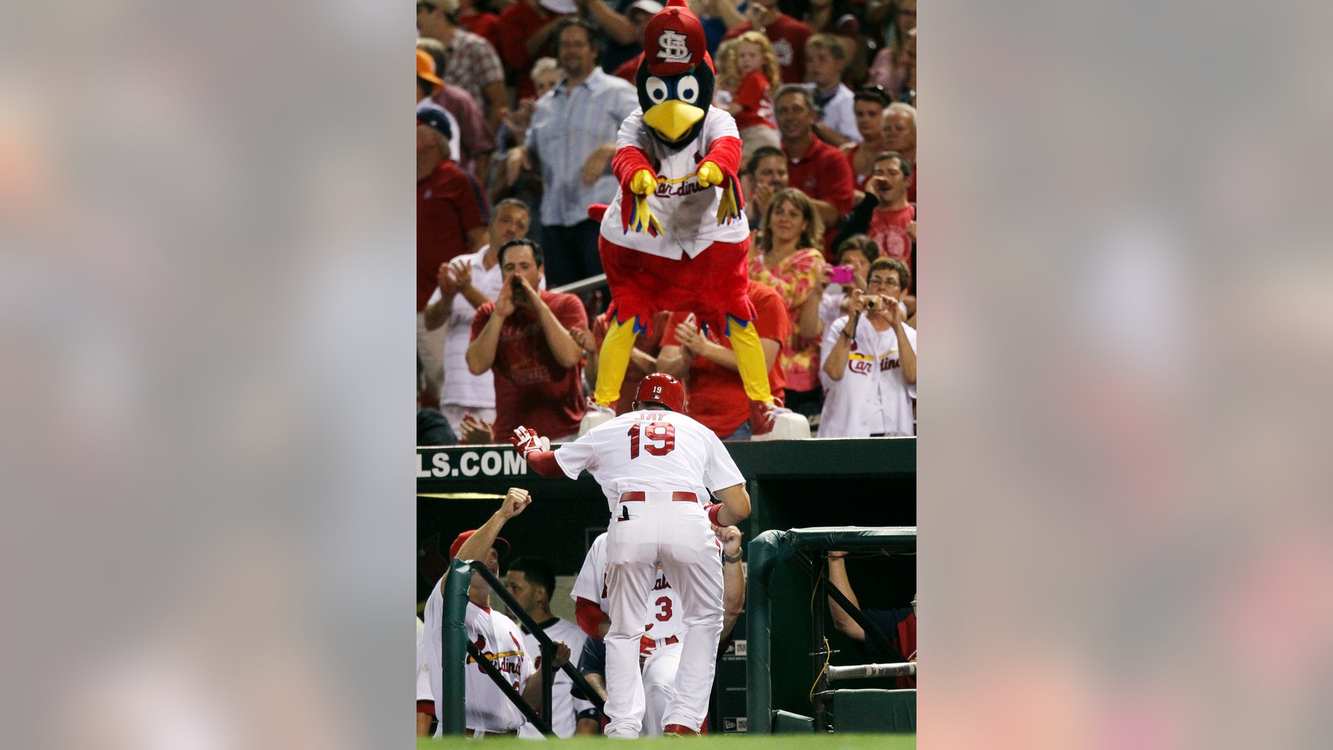 Diamondbacks_Cardinal_Grat